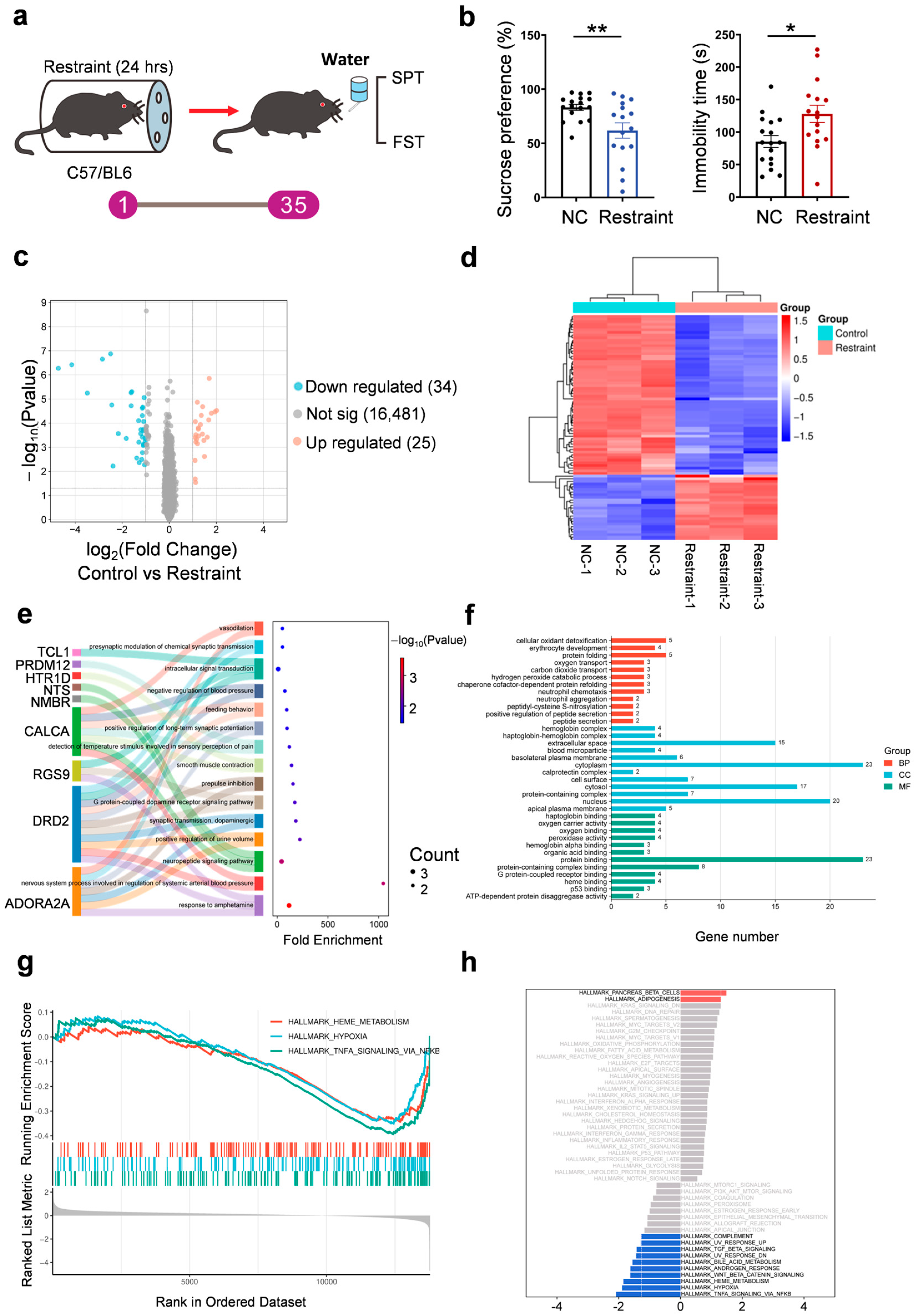 Biomedicines 13 02183 g001
