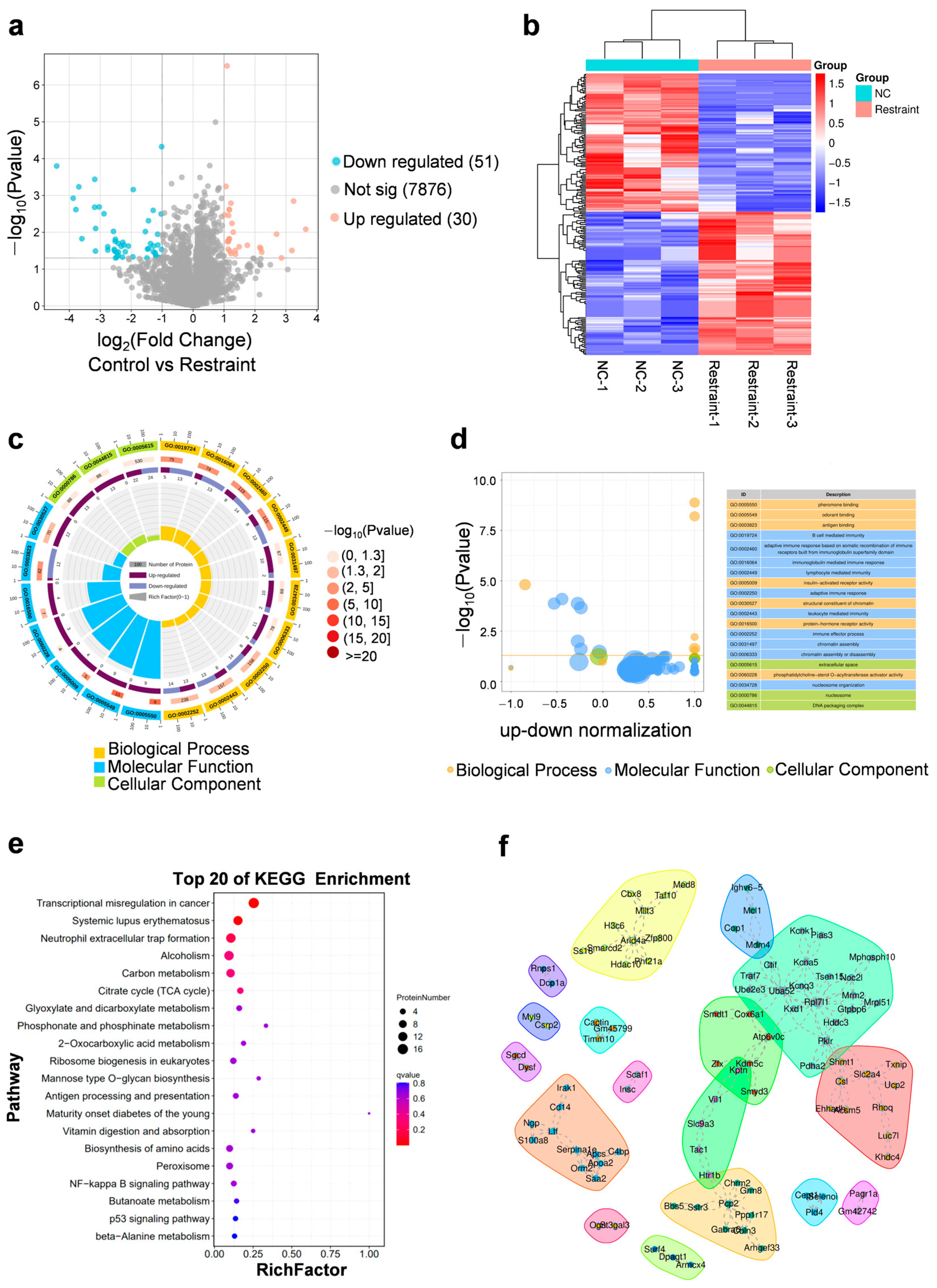 Biomedicines 13 02183 g002