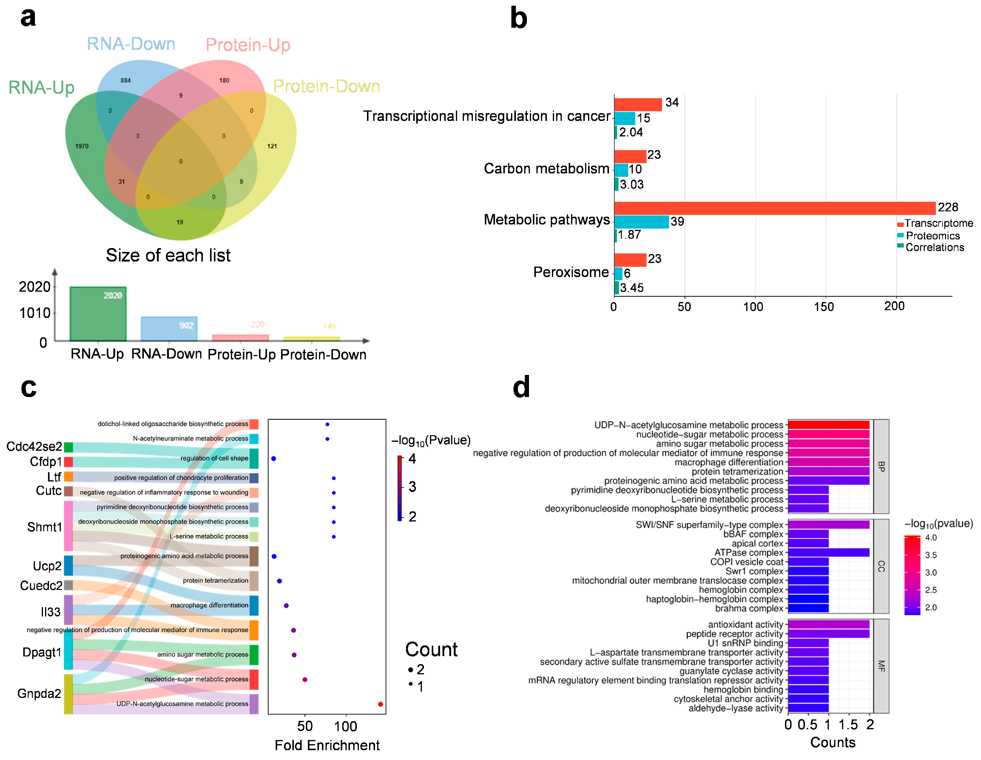 Biomedicines 13 02183 g003