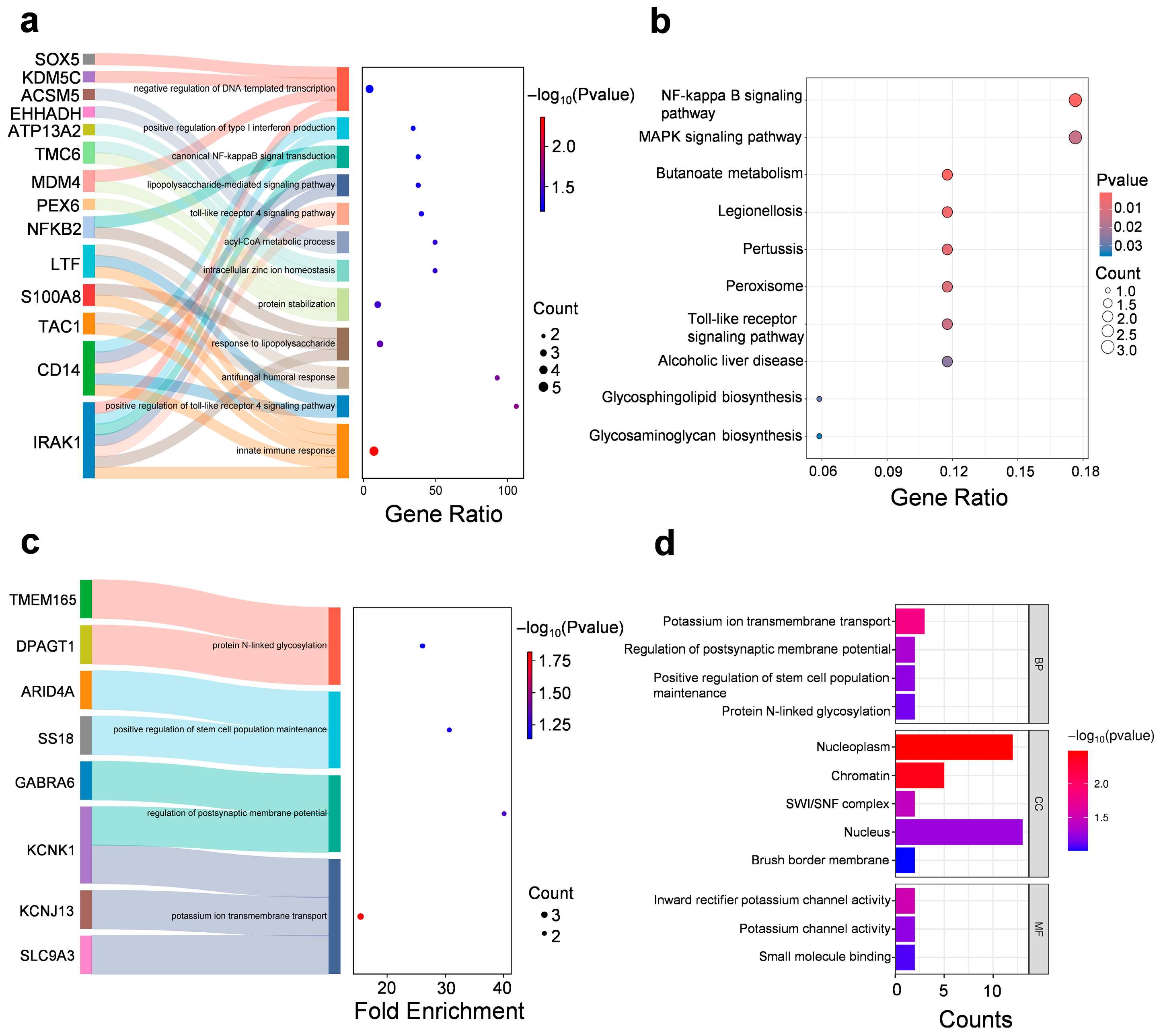 Biomedicines 13 02183 g005