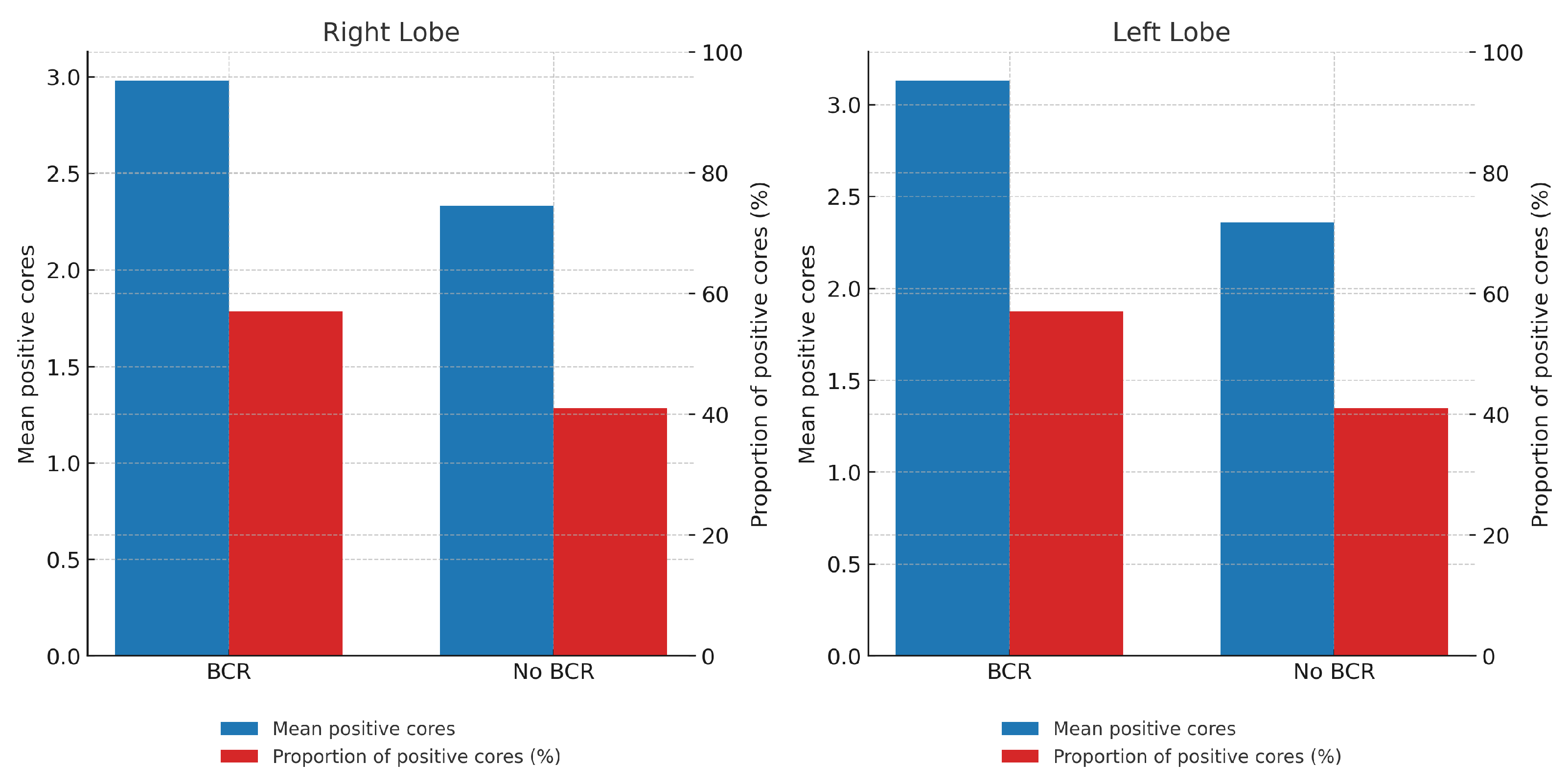 Biomedicines 13 02185 g002 Biomedicines 13 02185 g002