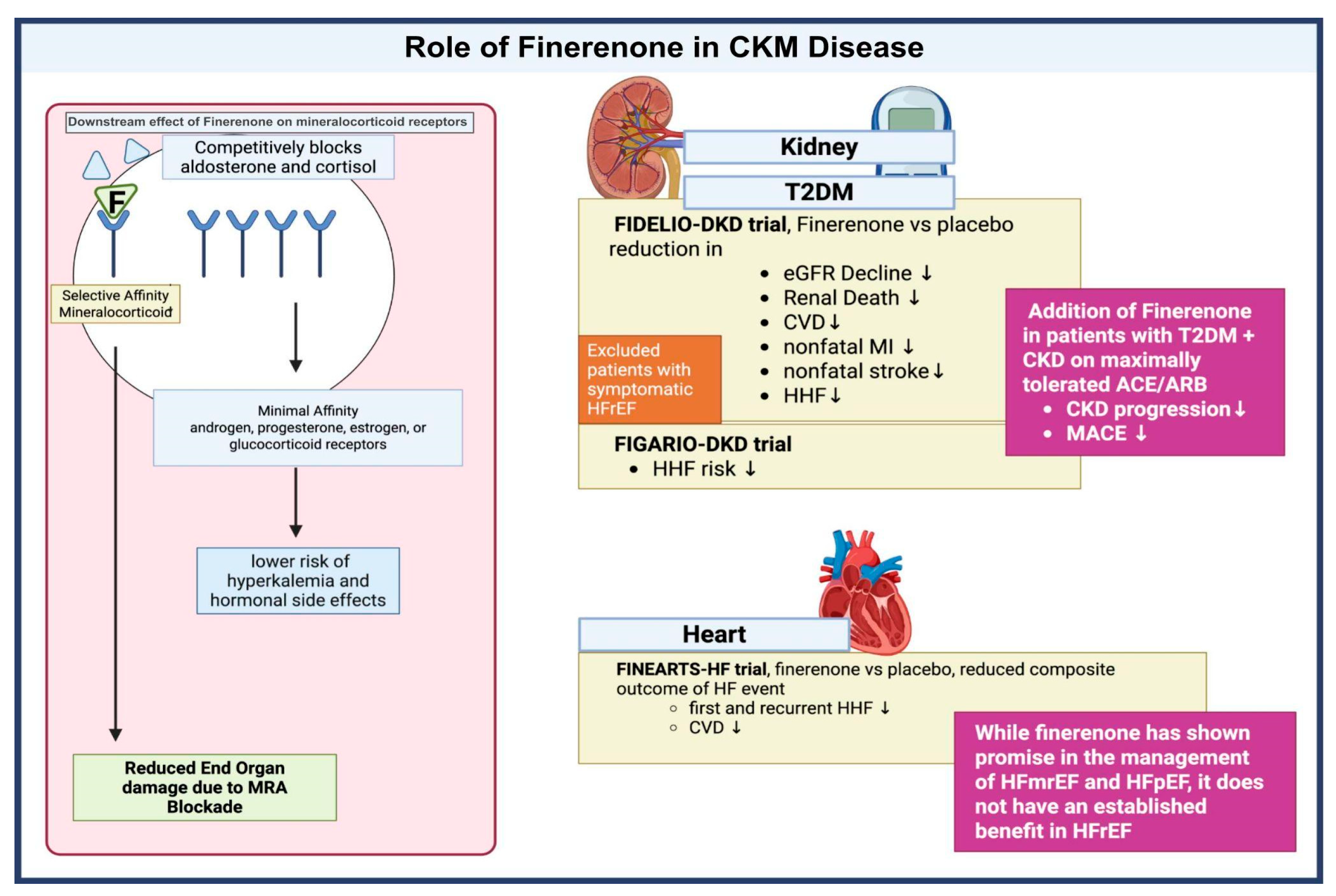 Biomedicines 13 02192 g003 Biomedicines 13 02192 g003
