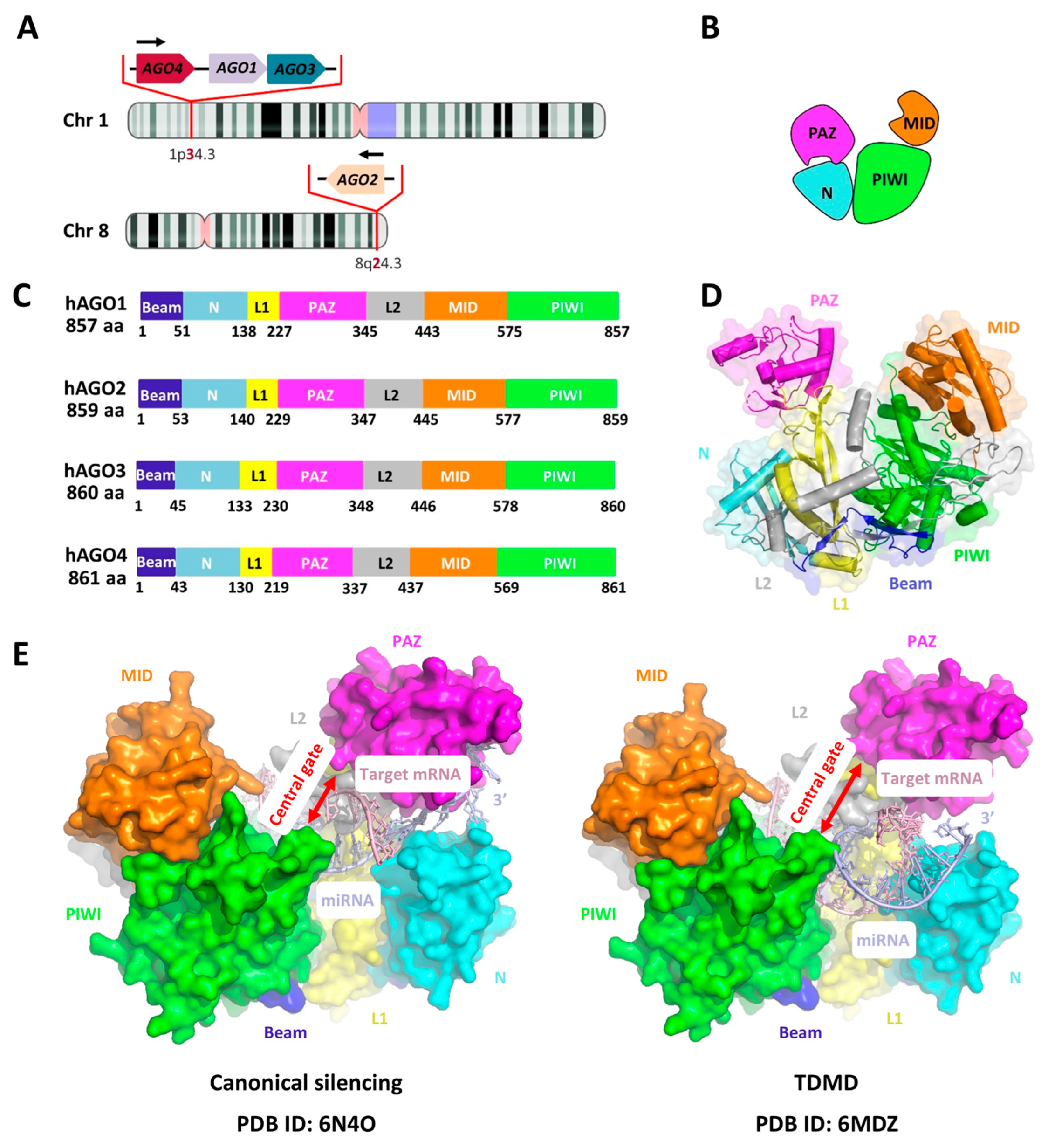 Biomedicines 13 02194 g004