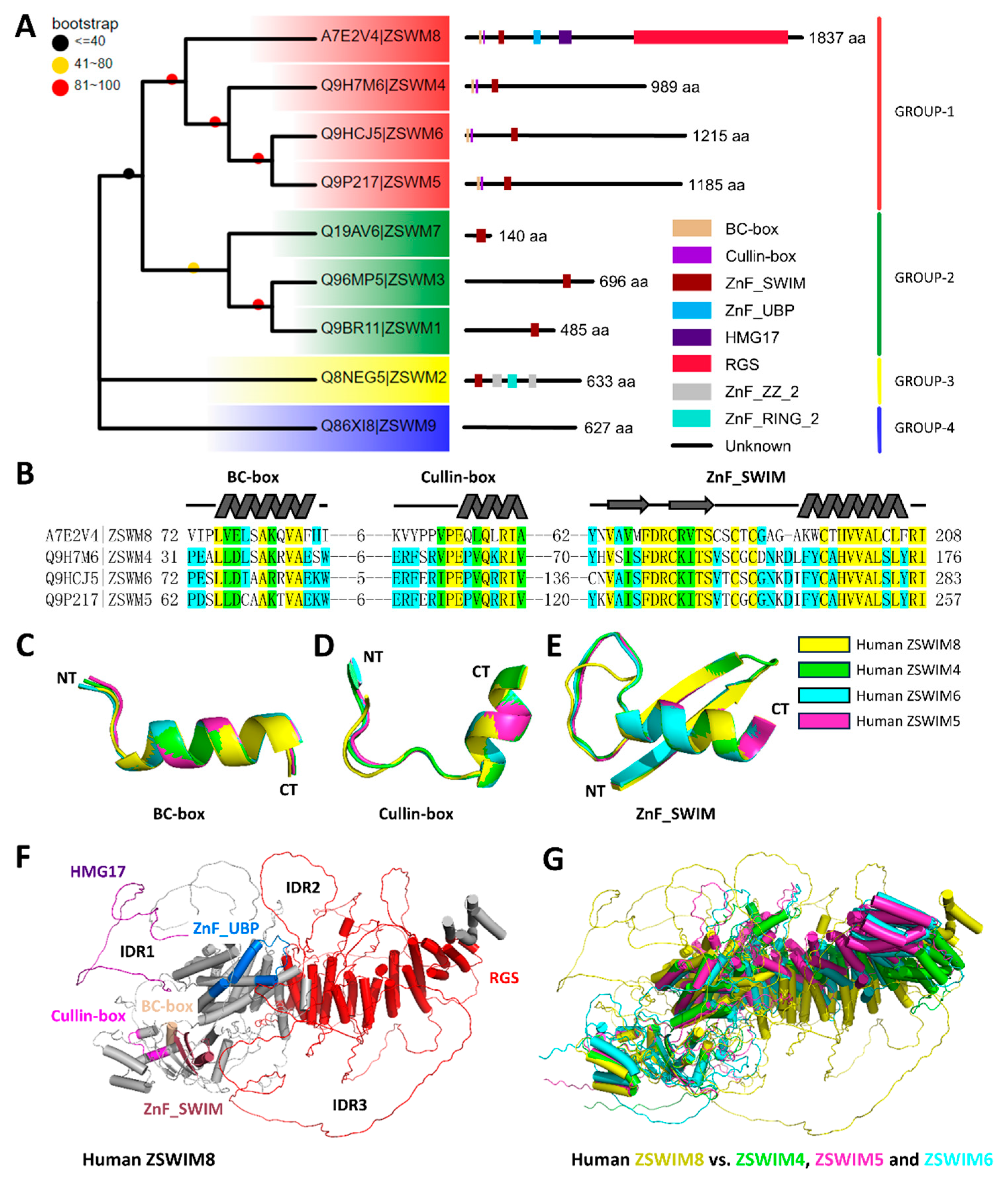 Biomedicines 13 02194 g005