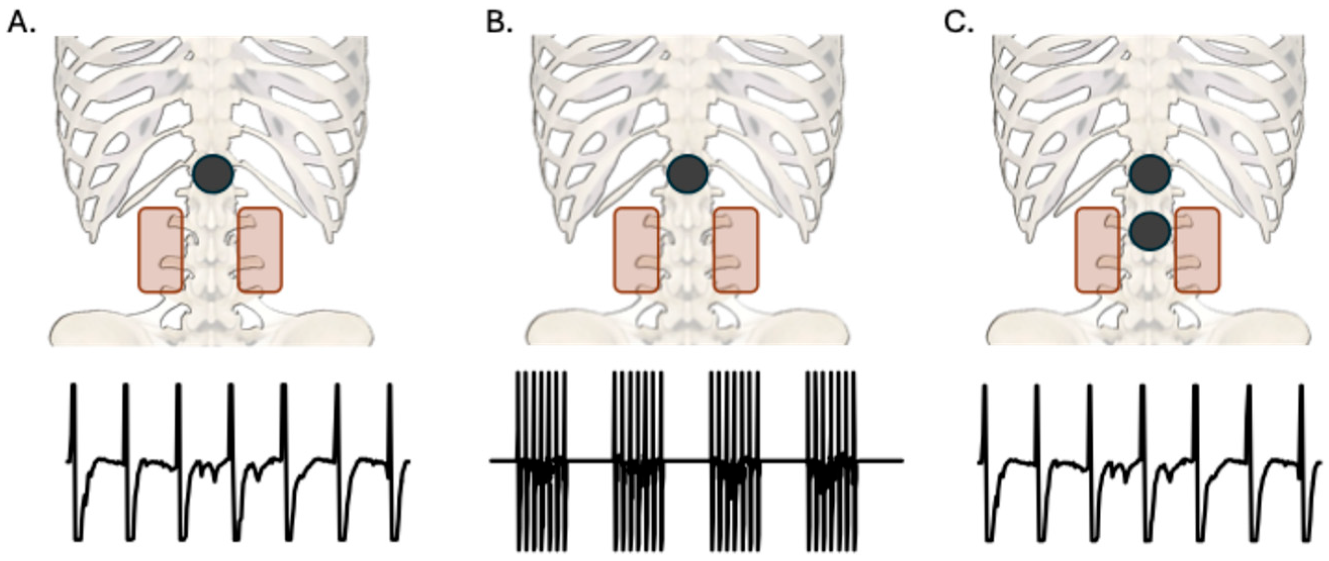 Biomedicines 13 02195 g001