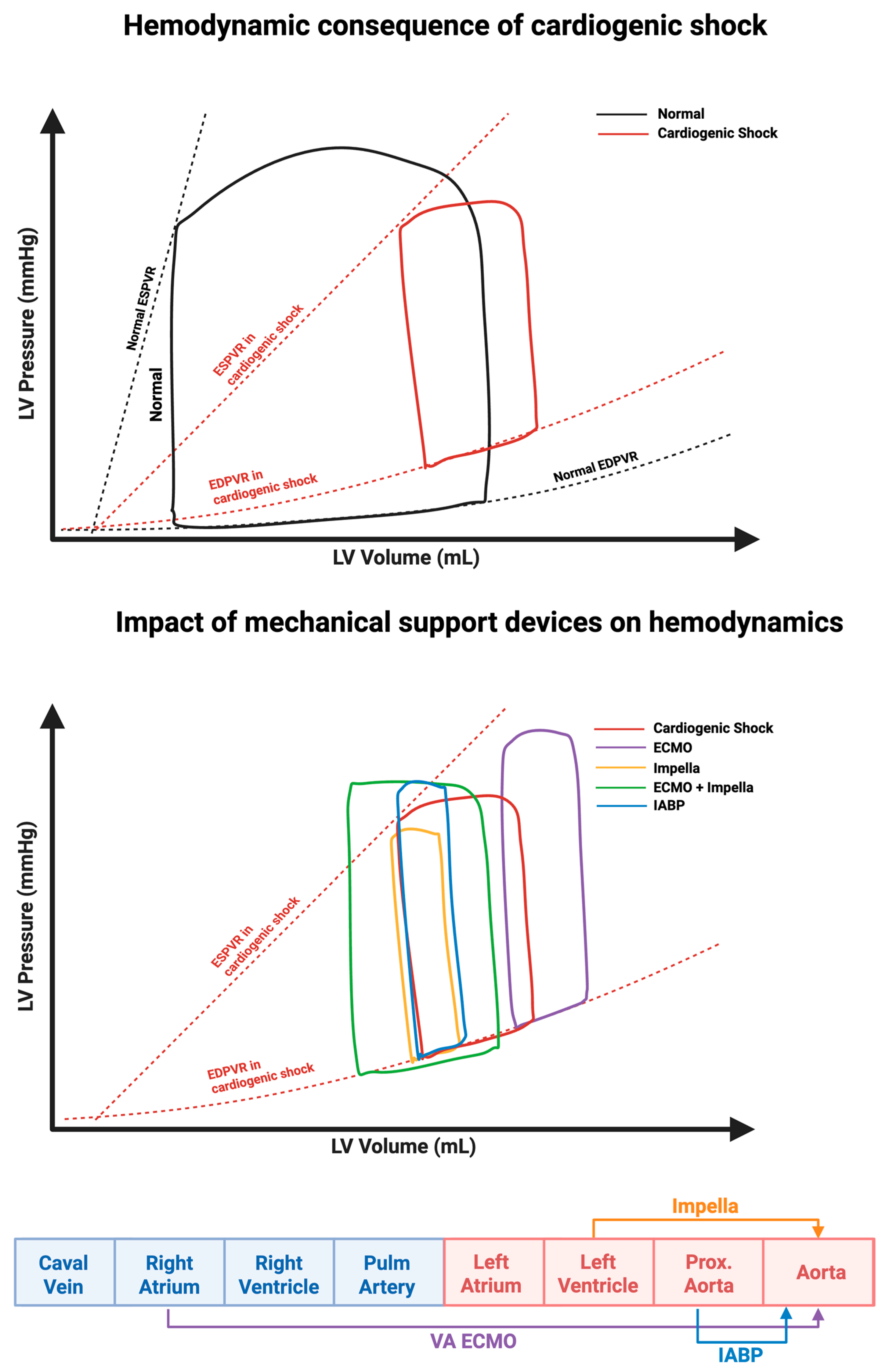 Biomedicines 13 02198 g001 Biomedicines 13 02198 g001