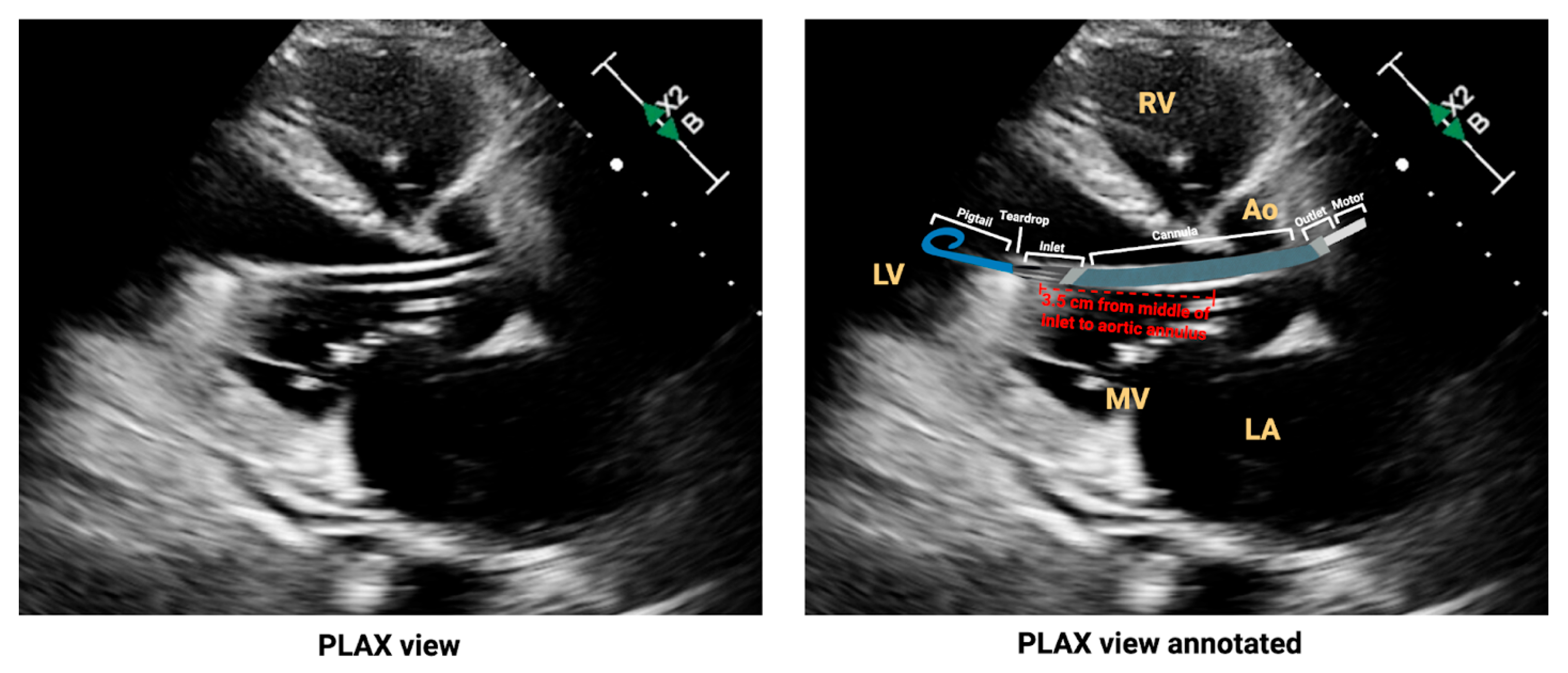 Biomedicines 13 02198 g005 Biomedicines 13 02198 g005