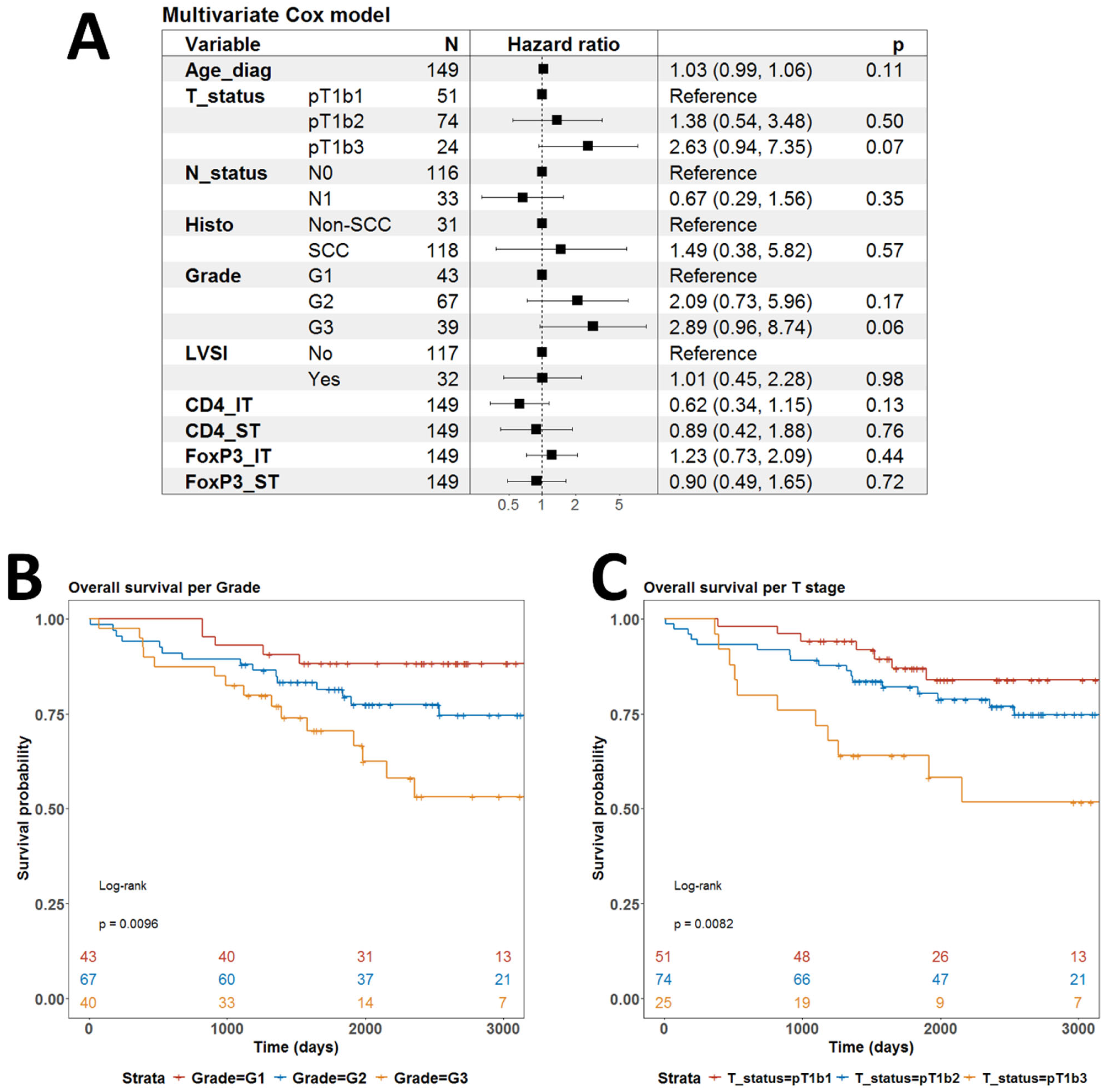 Biomedicines 13 02206 g010 Biomedicines 13 02206 g010