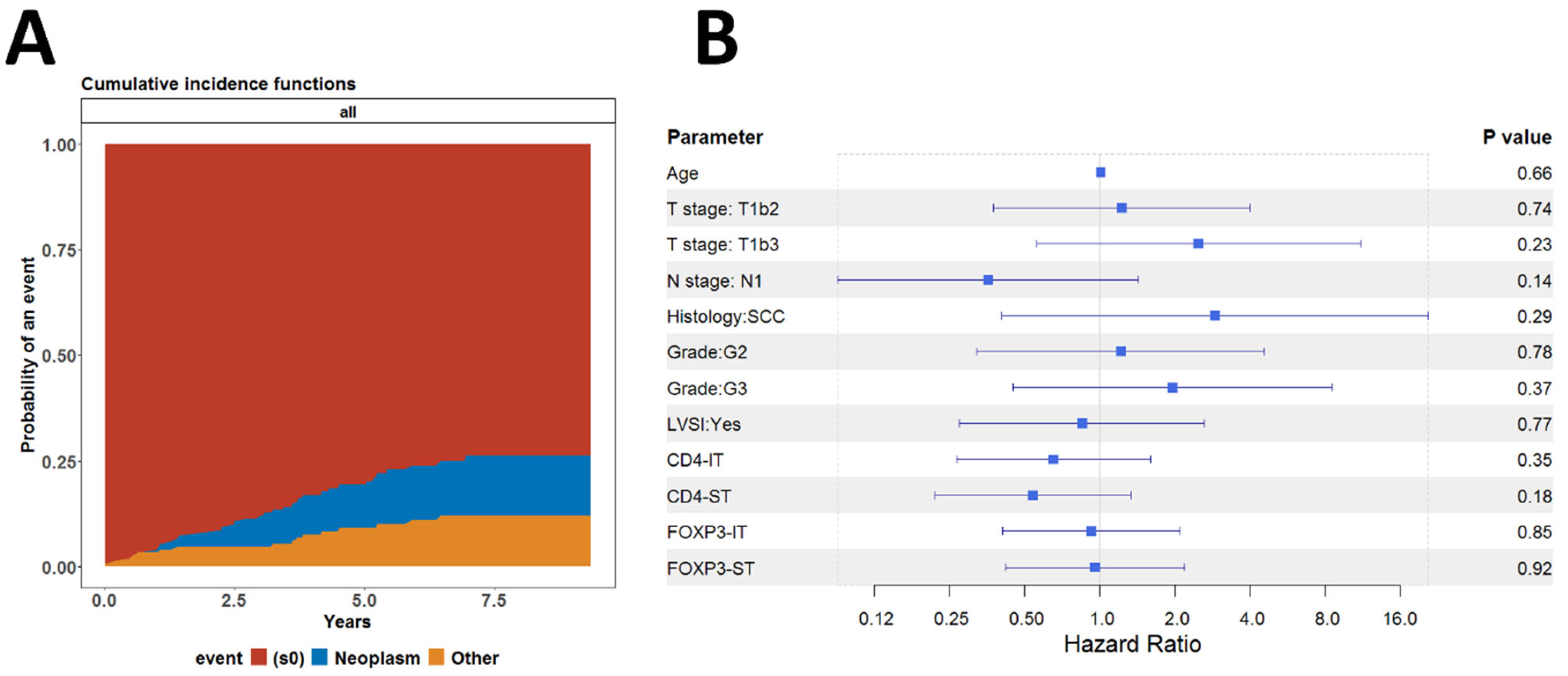 Biomedicines 13 02206 g011 Biomedicines 13 02206 g011