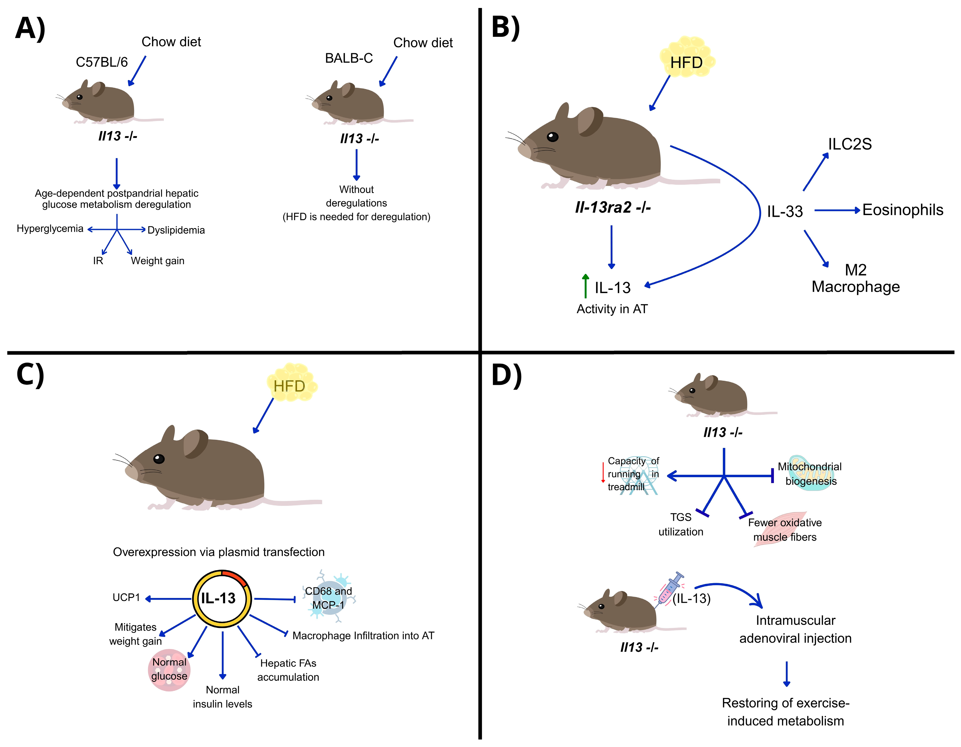 Biomedicines 13 02208 g002 Biomedicines 13 02208 g002