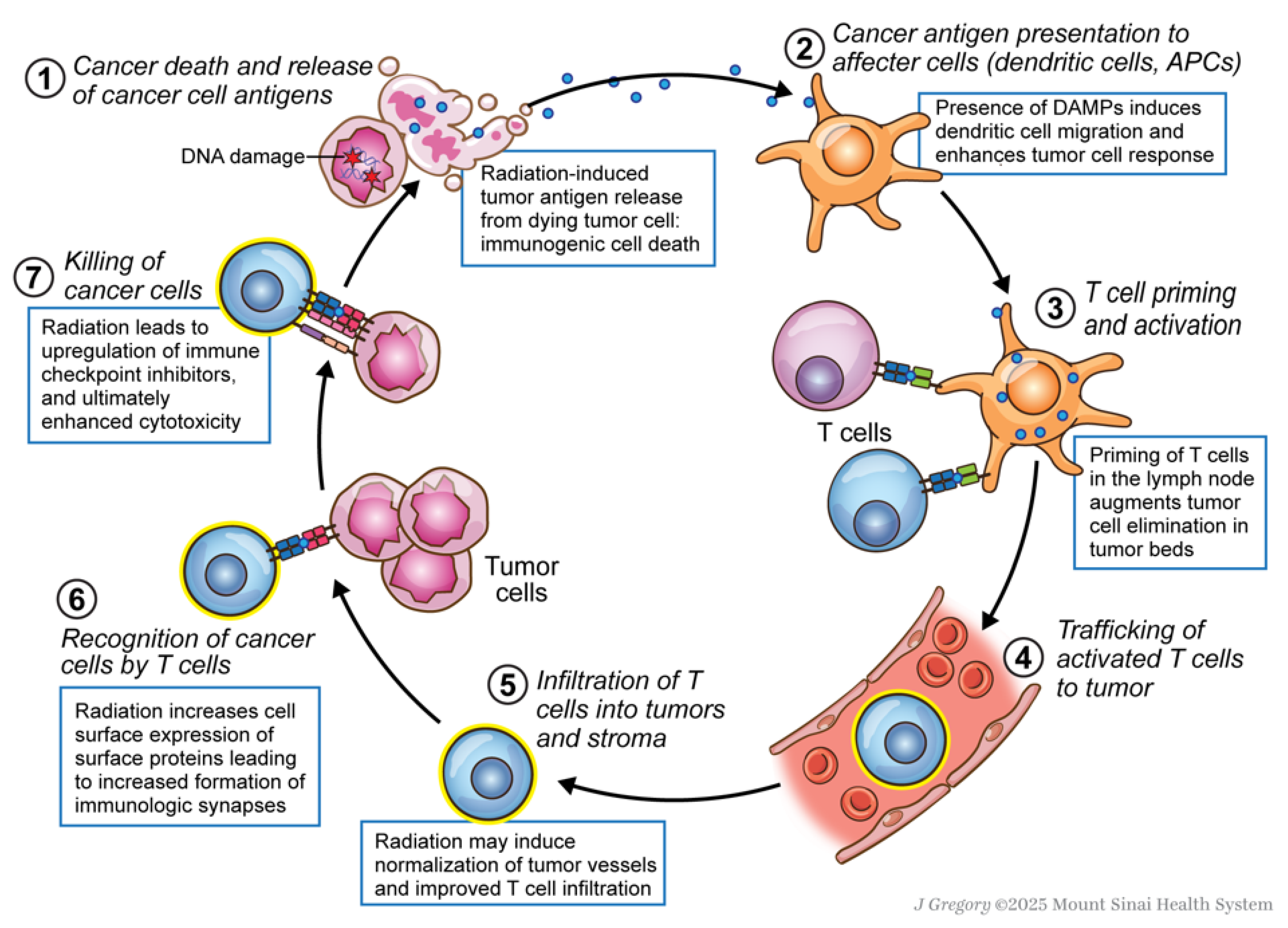 Biomedicines 13 02209 g002 Biomedicines 13 02209 g002