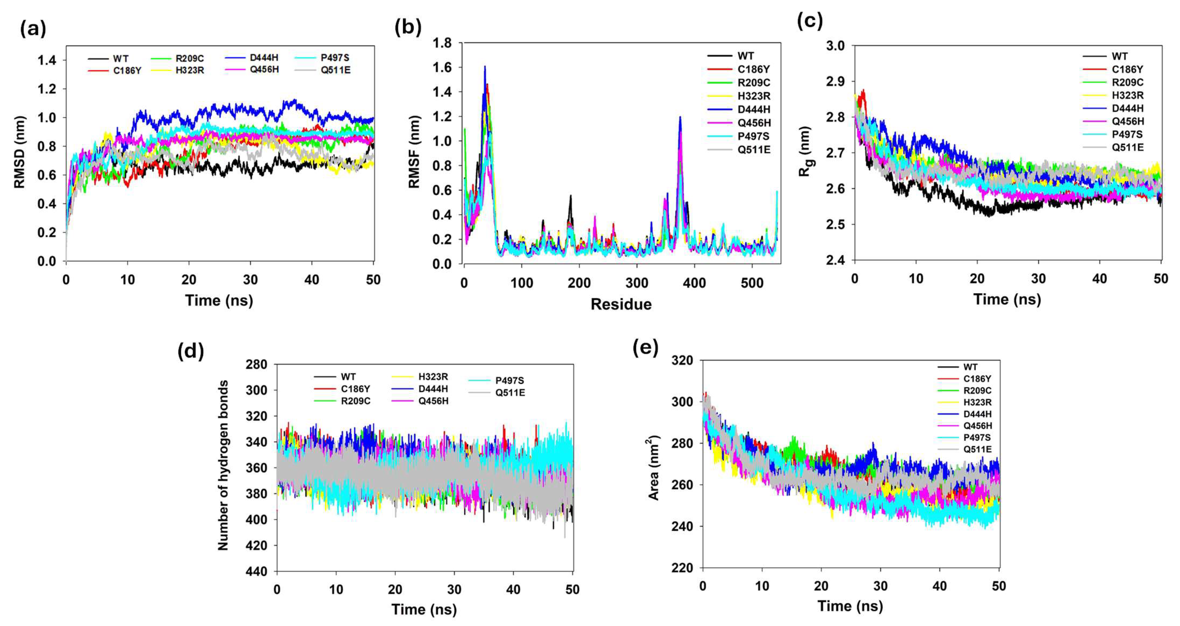 Biomedicines 13 02210 g007