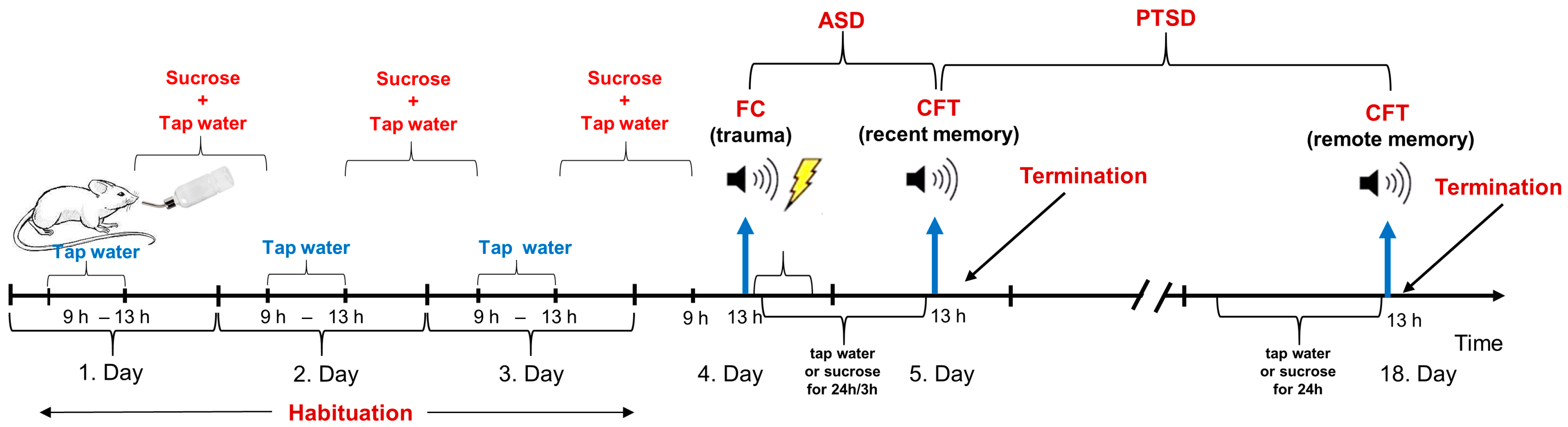 Biomedicines 13 02233 g001