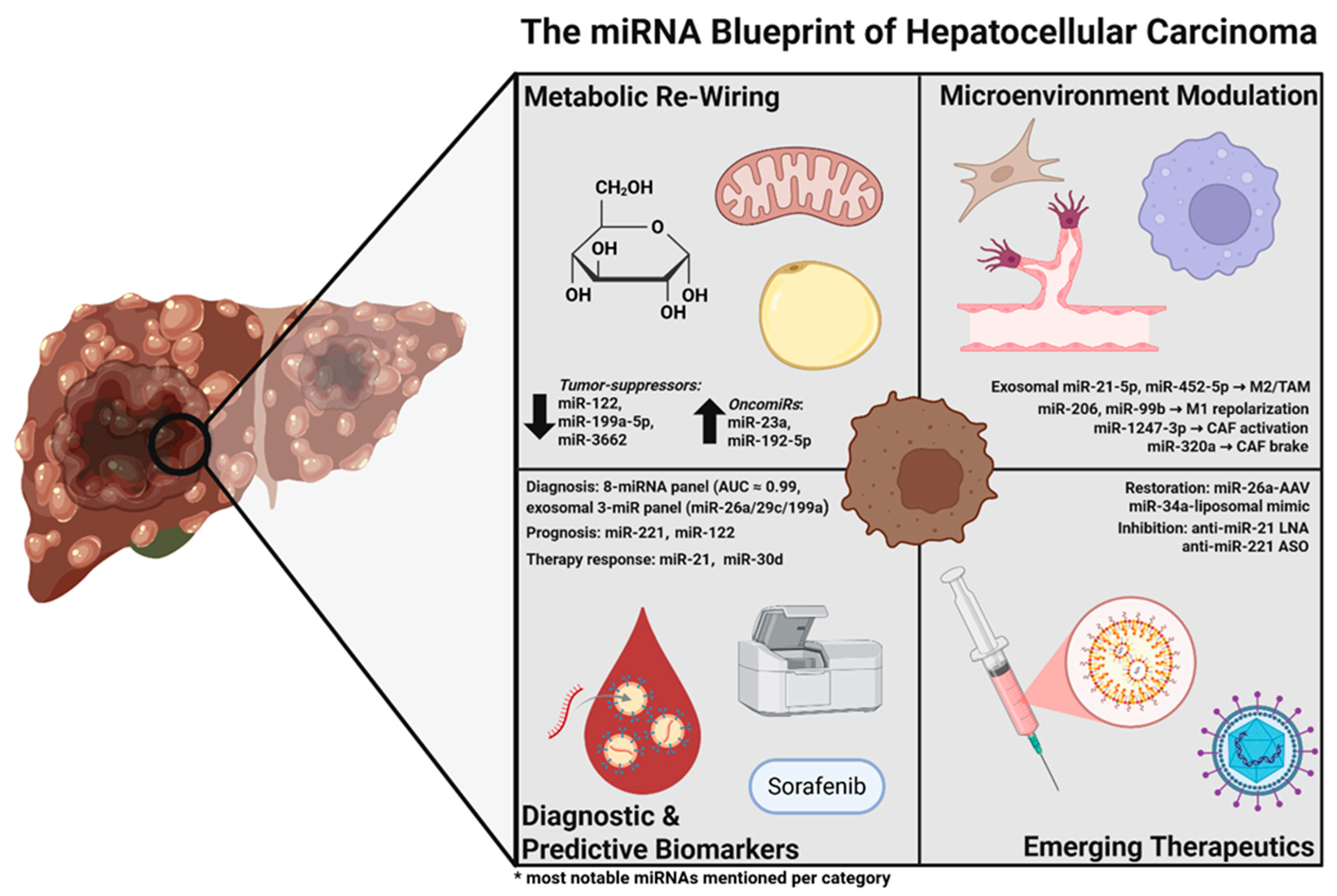 Biomedicines 13 02243 g001 Biomedicines 13 02243 g001