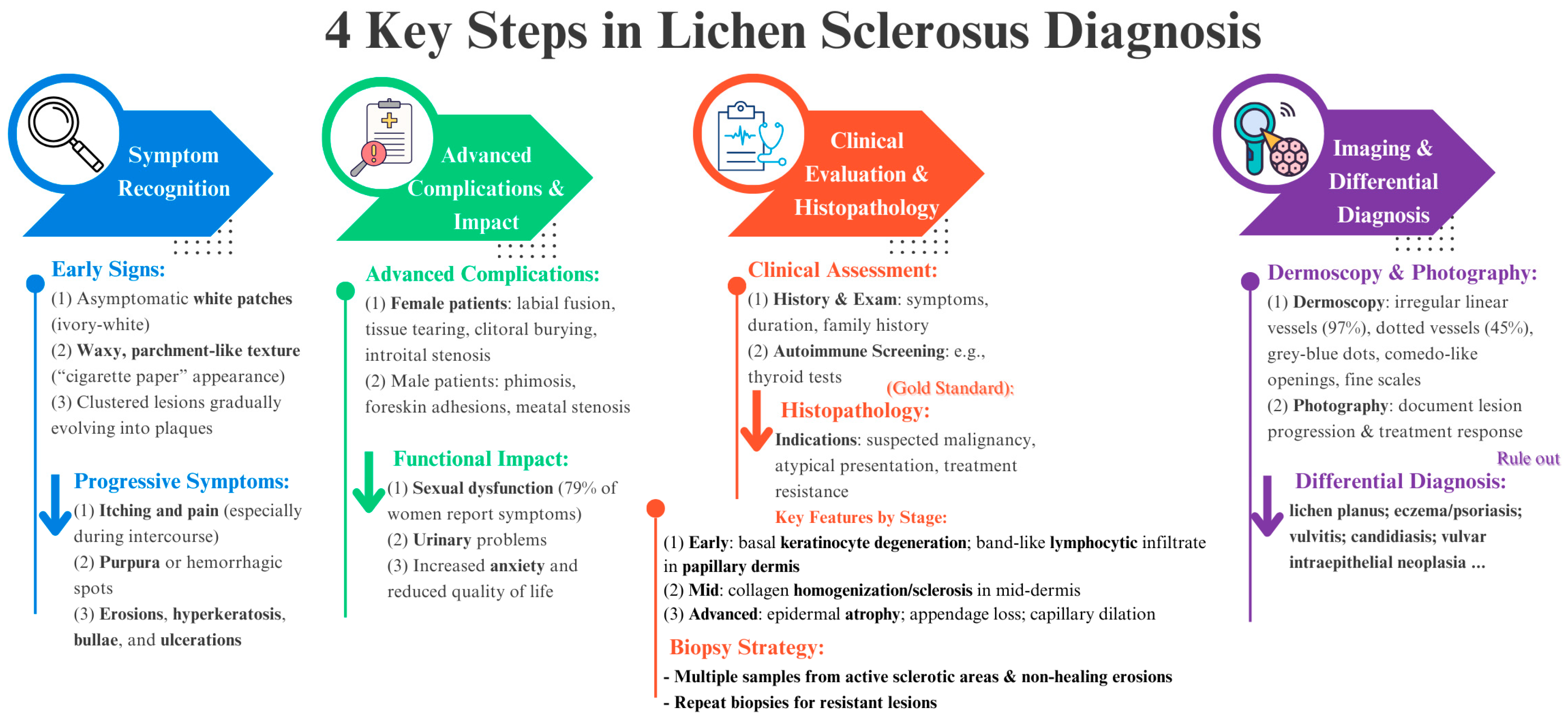 Biomedicines 13 02252 g006 Biomedicines 13 02252 g006