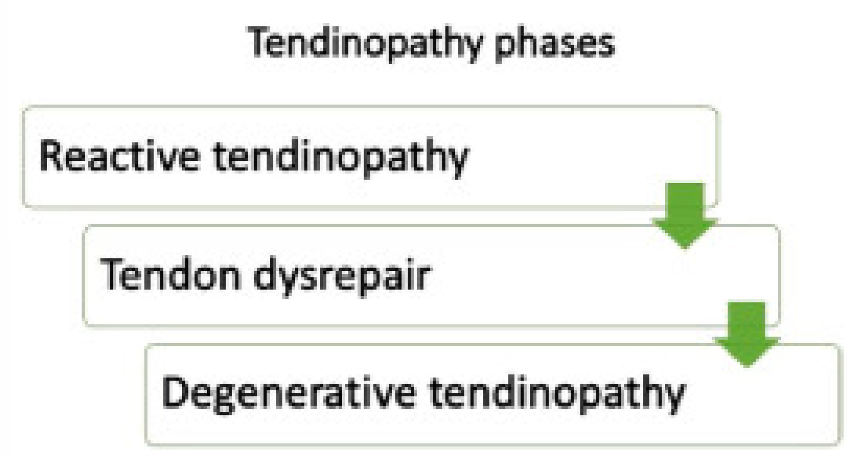 Biomedicines 13 02253 g002 Biomedicines 13 02253 g002