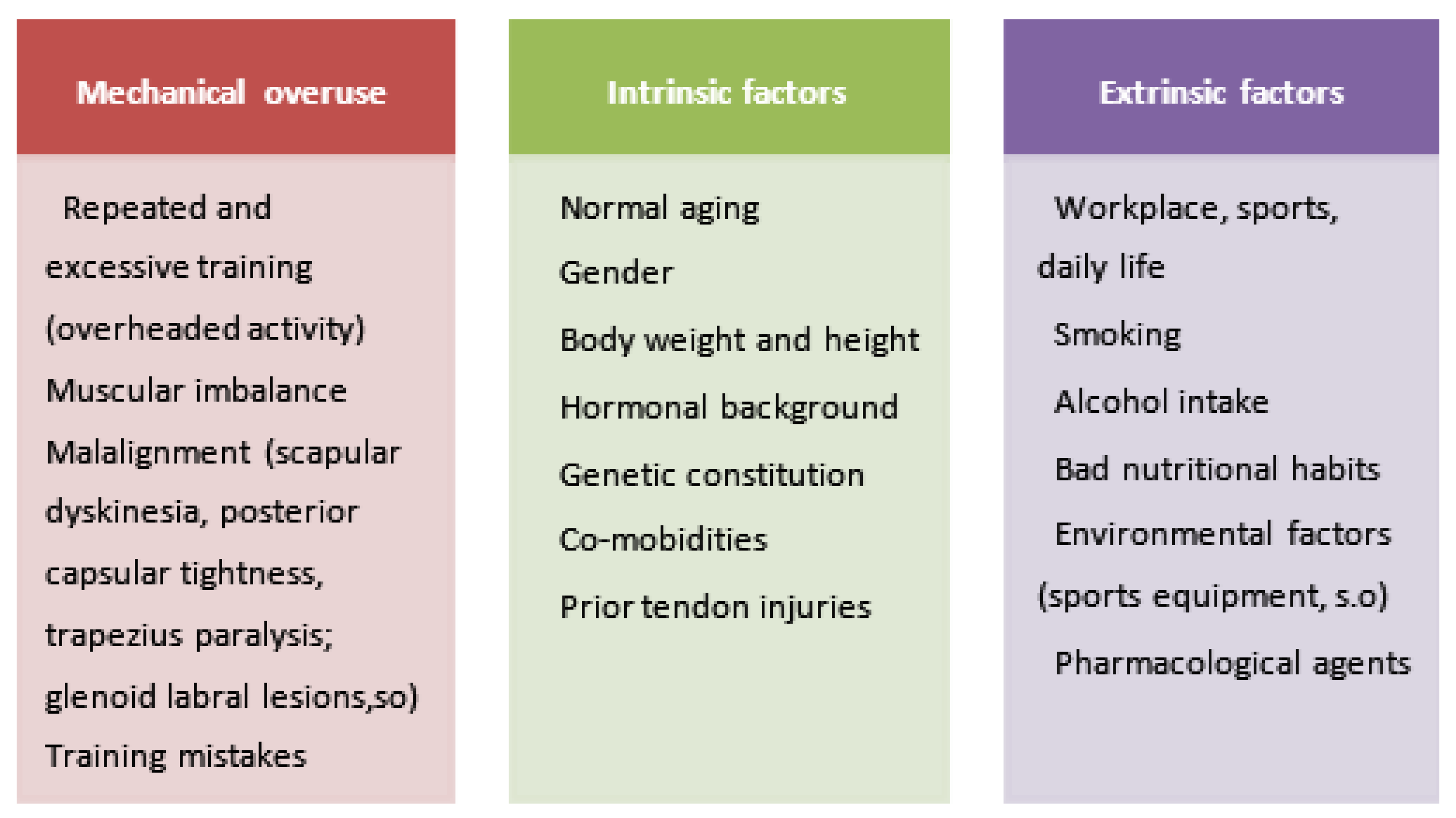Biomedicines 13 02253 g003 Biomedicines 13 02253 g003