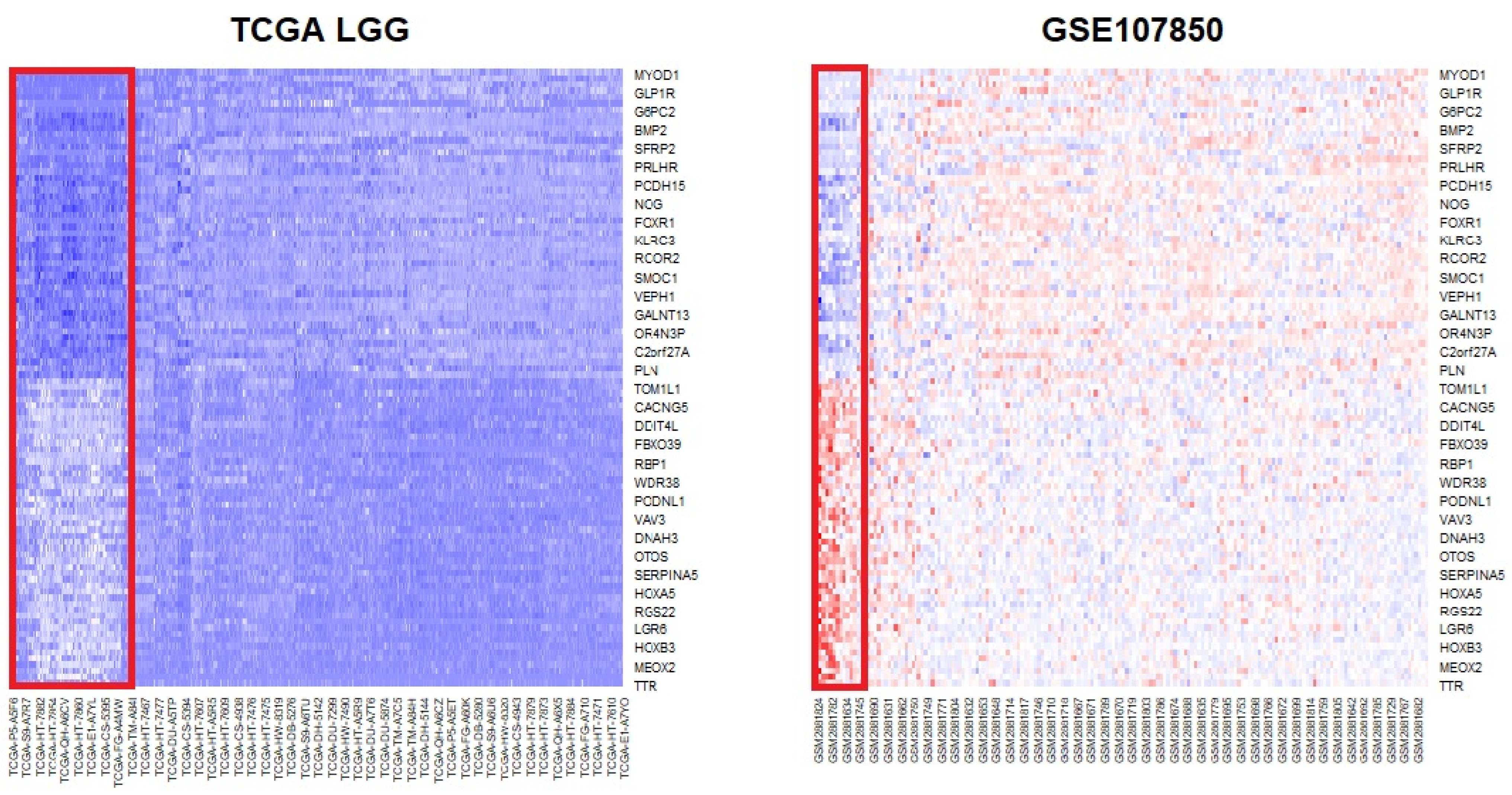 Biomedicines 13 02263 g001