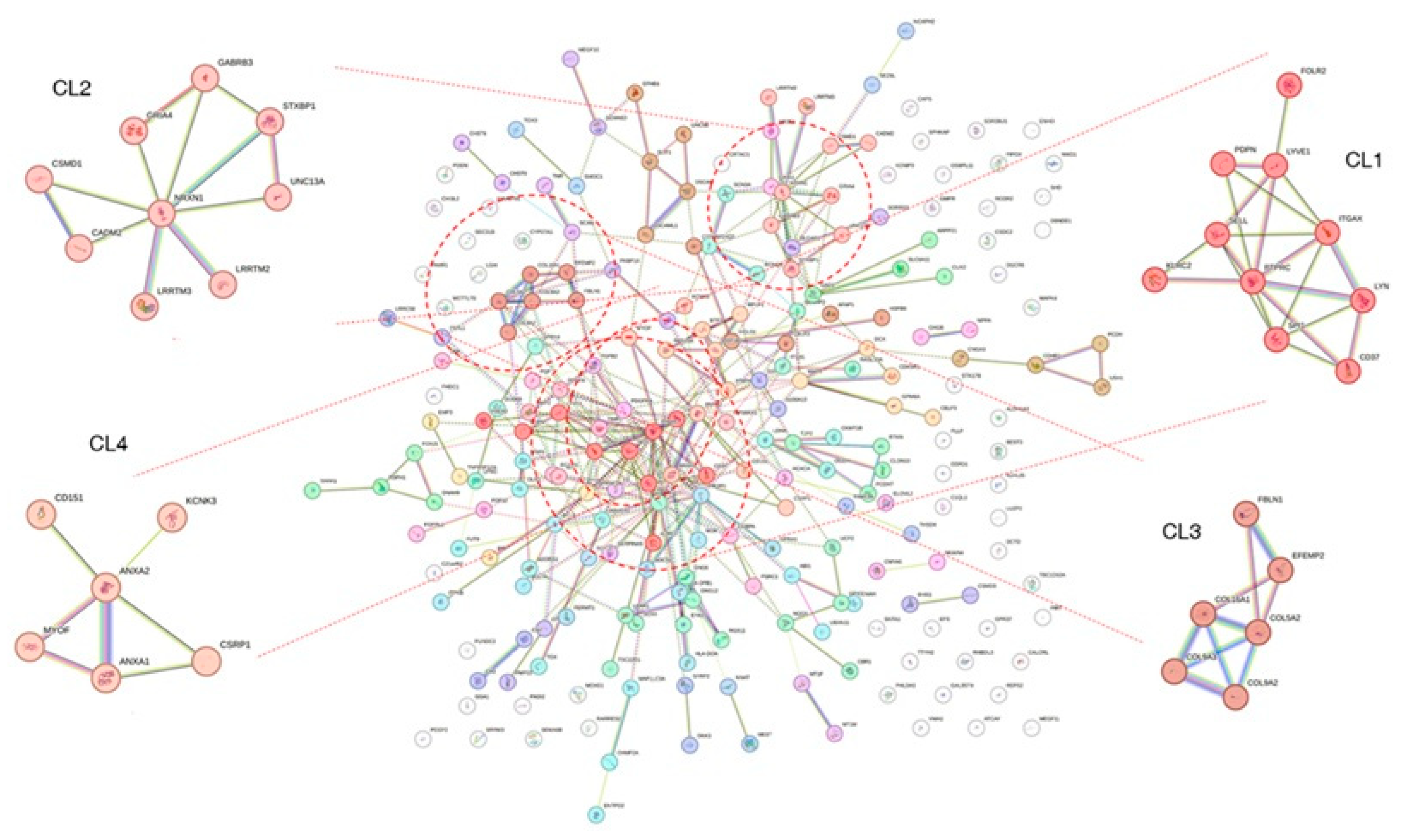 Biomedicines 13 02263 g004