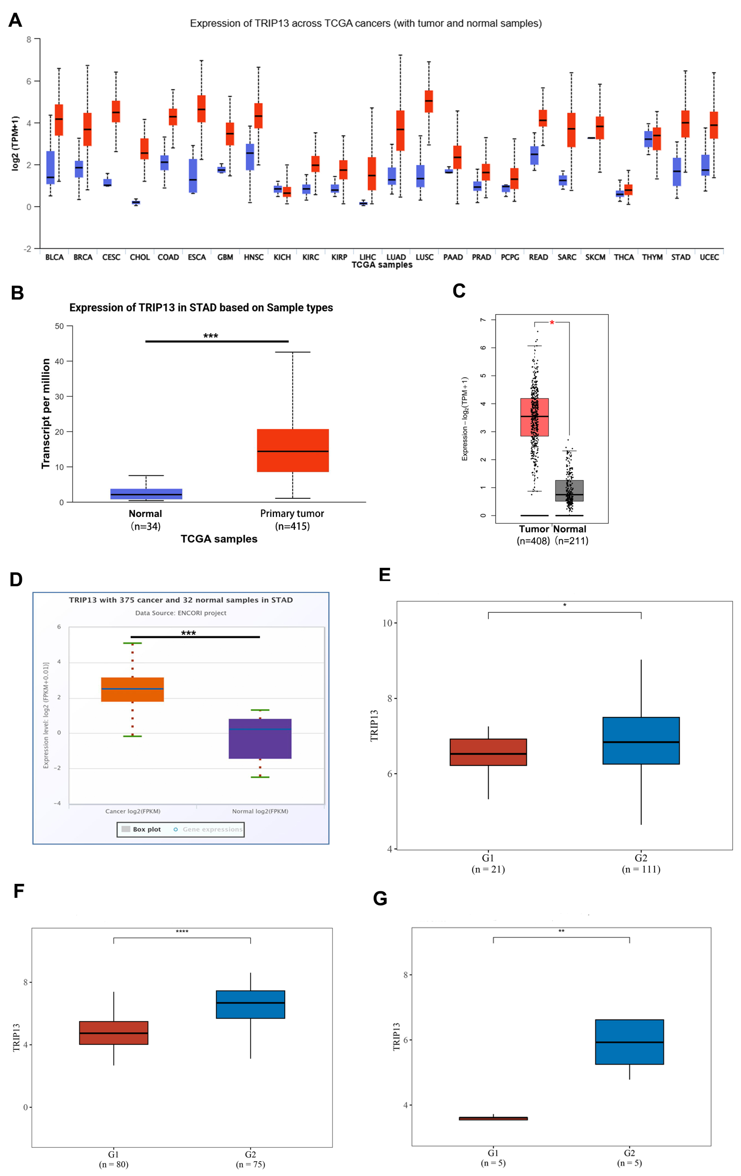 Biomedicines 13 02268 g001