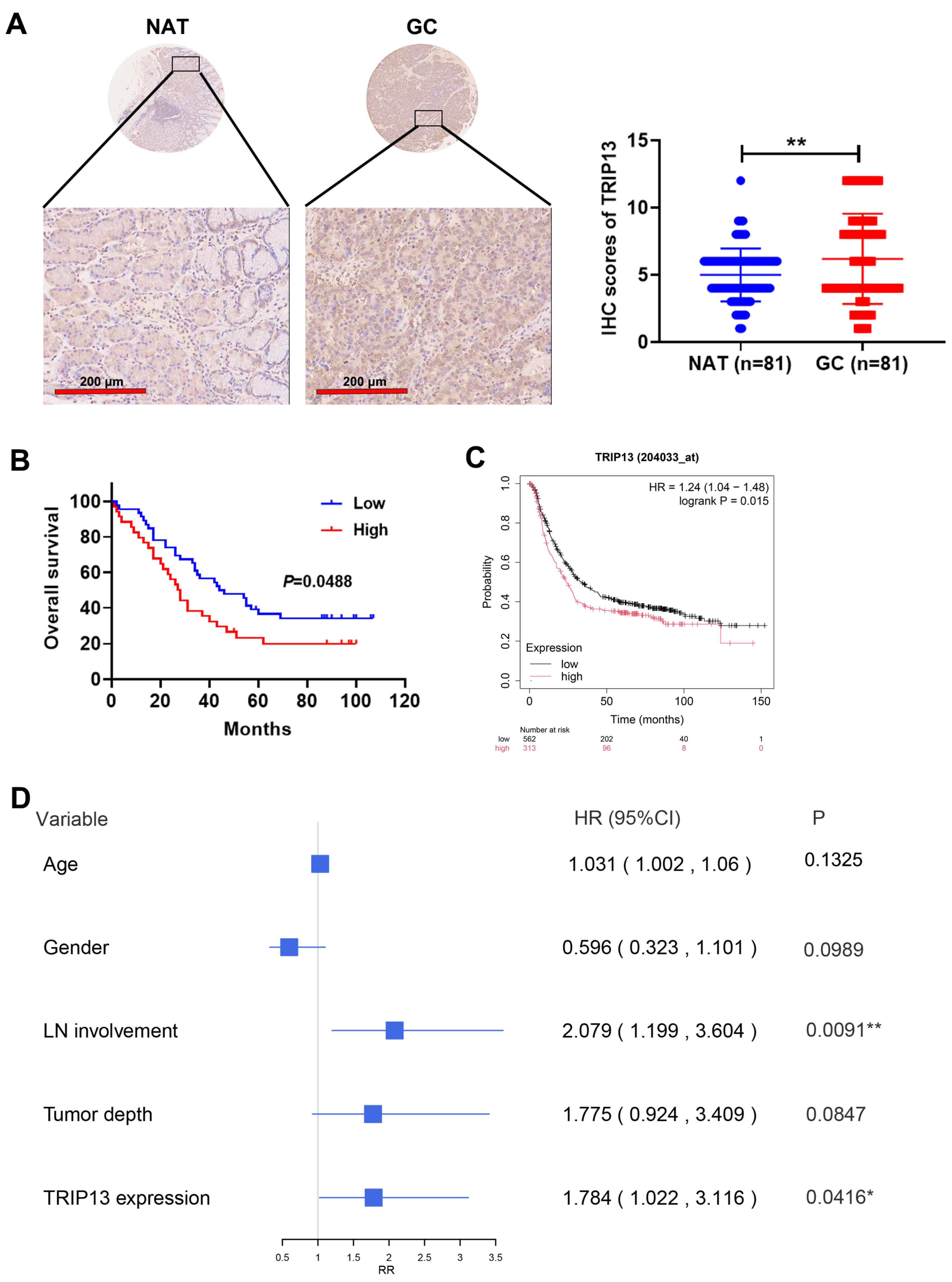Biomedicines 13 02268 g002