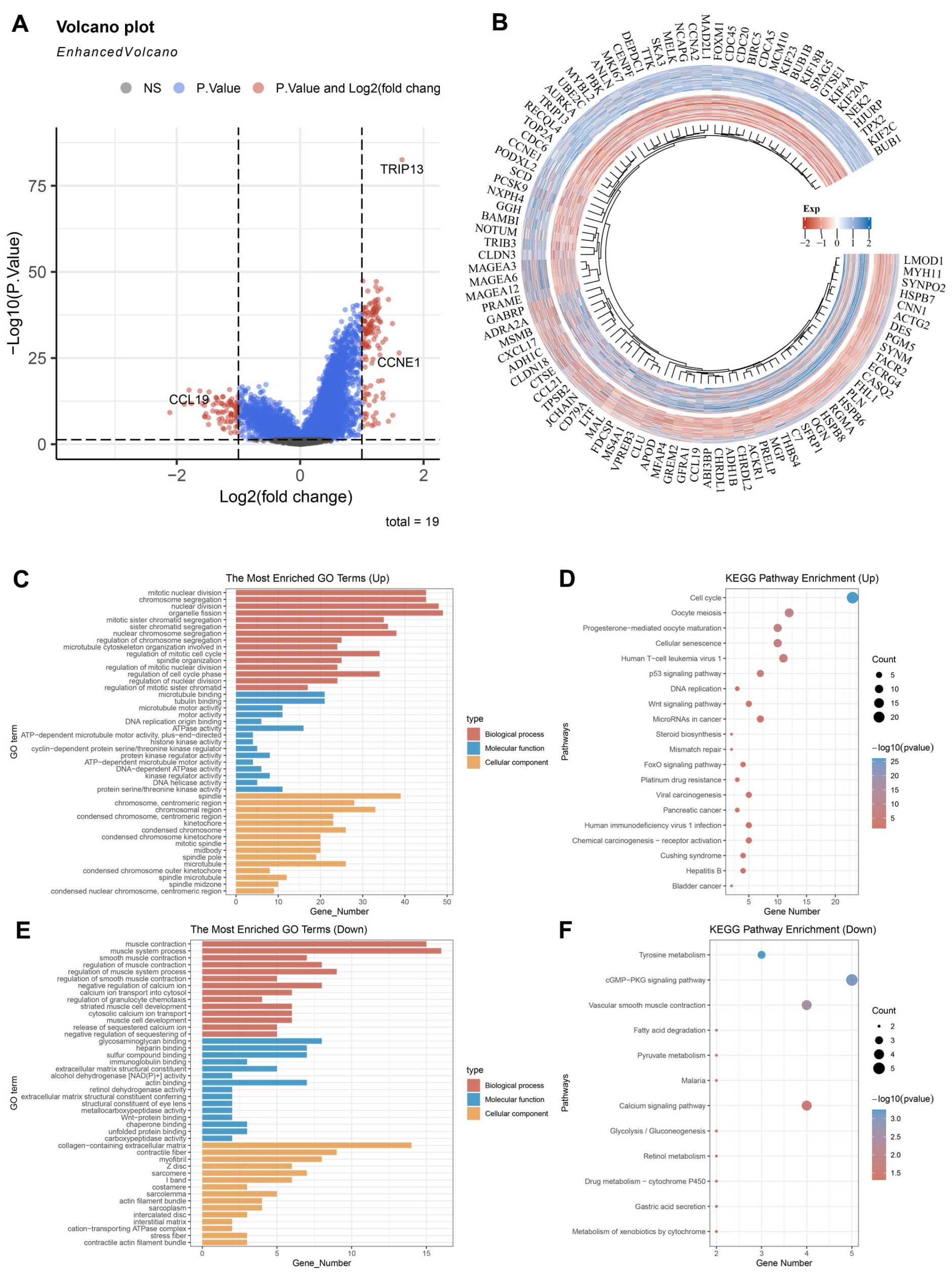 Biomedicines 13 02268 g003