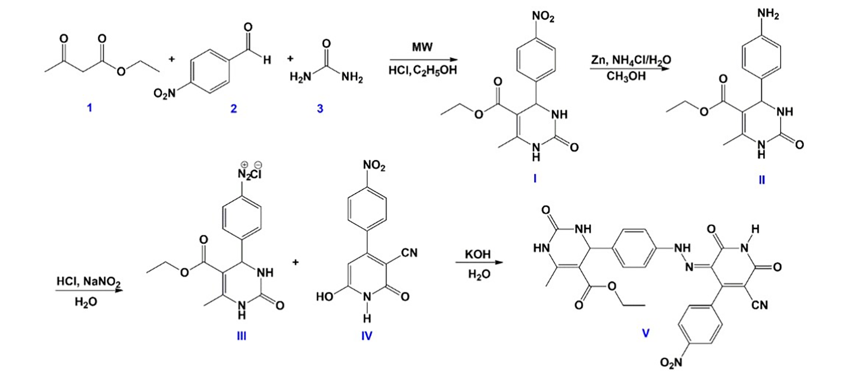 Biomedicines 13 02270 g002 Biomedicines 13 02270 g002