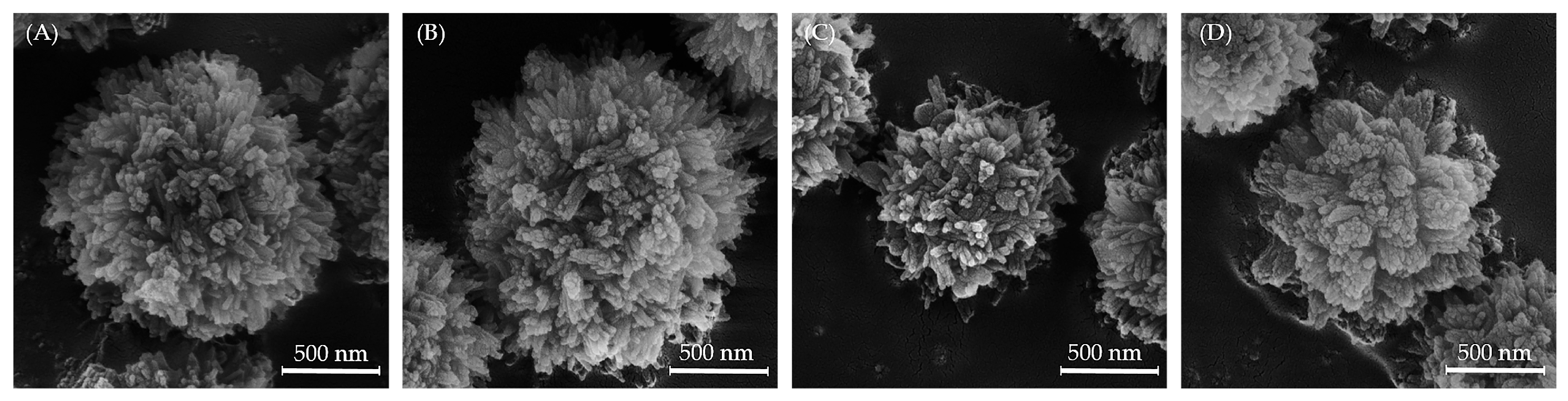 Biomedicines 13 02270 g004 Biomedicines 13 02270 g004