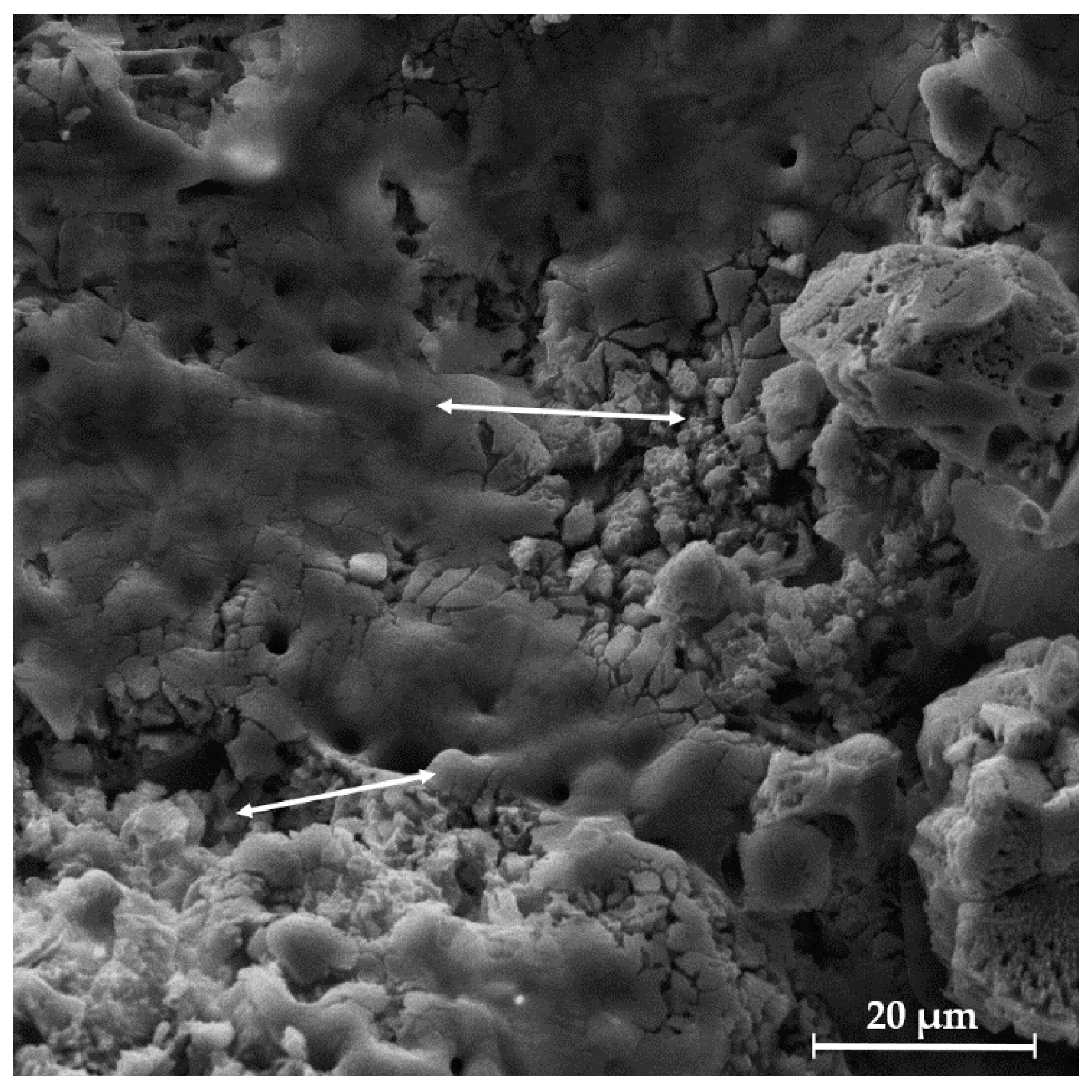 Biomedicines 13 02270 g009 Biomedicines 13 02270 g009