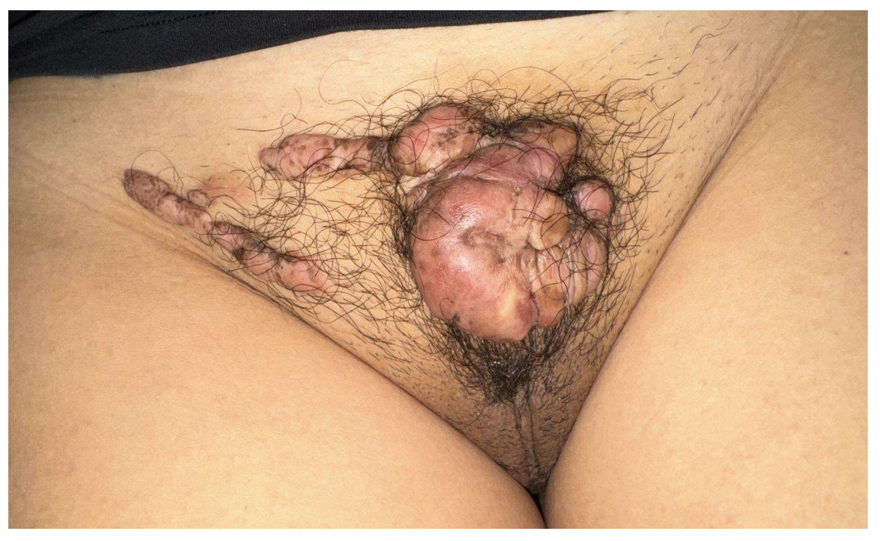 Biomedicines 13 02276 g001