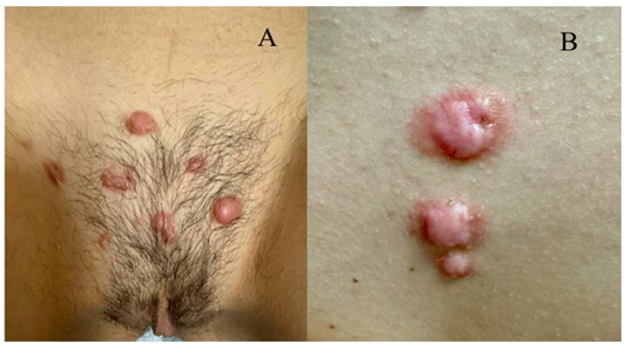 Biomedicines 13 02276 g002