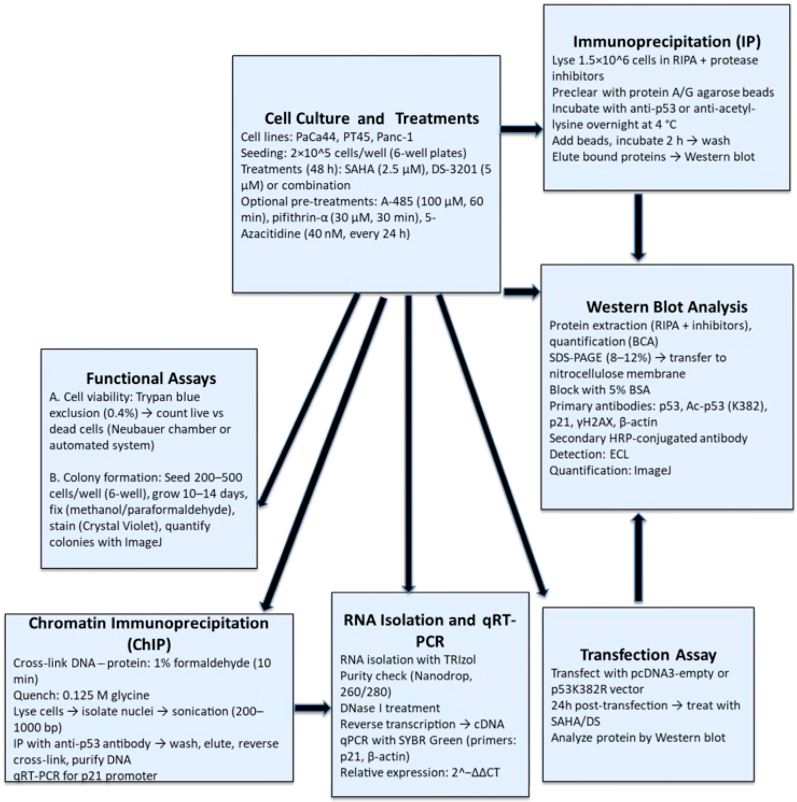 Biomedicines 13 02279 g001 Biomedicines 13 02279 g001