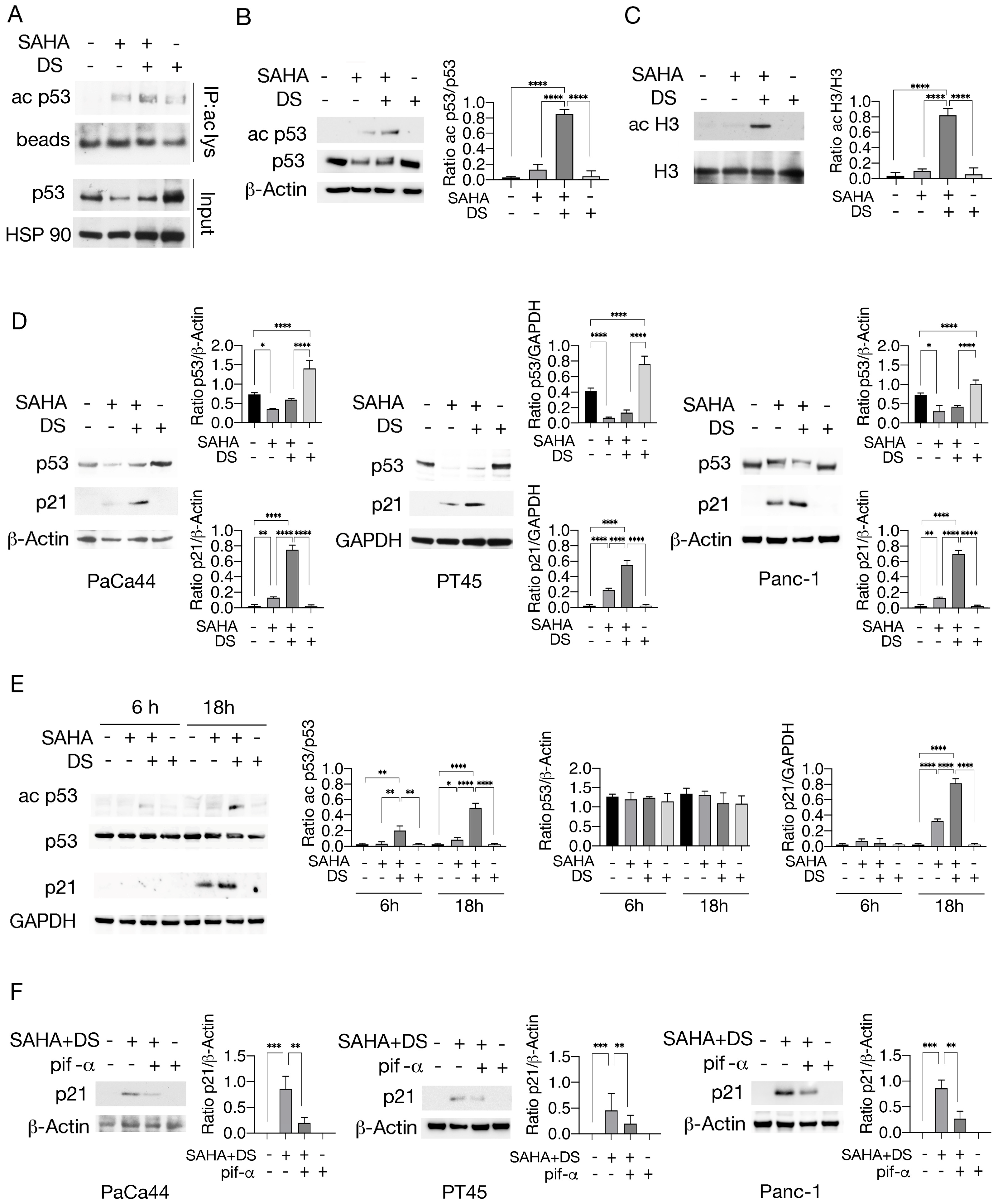 Biomedicines 13 02279 g002 Biomedicines 13 02279 g002