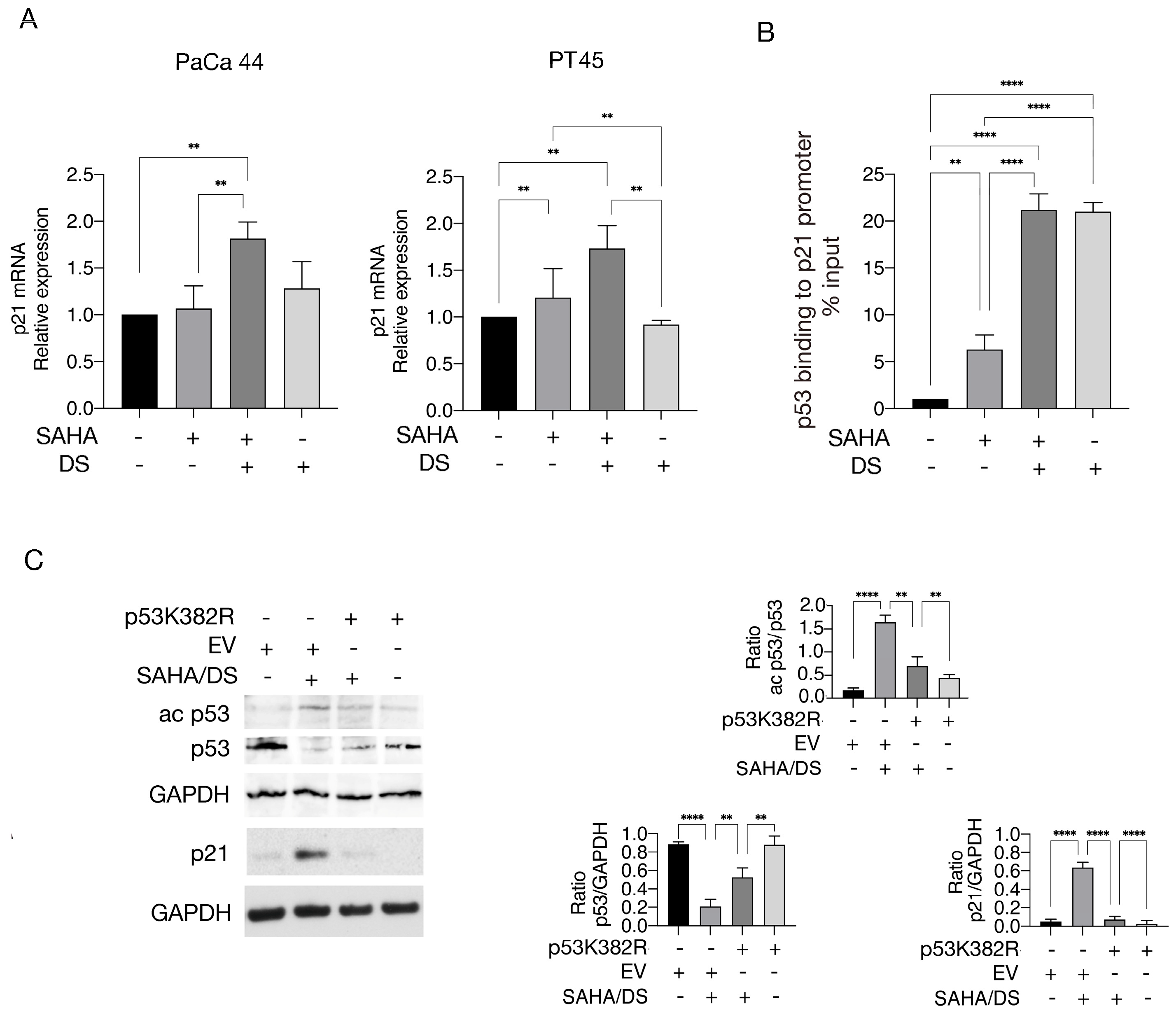 Biomedicines 13 02279 g003 Biomedicines 13 02279 g003