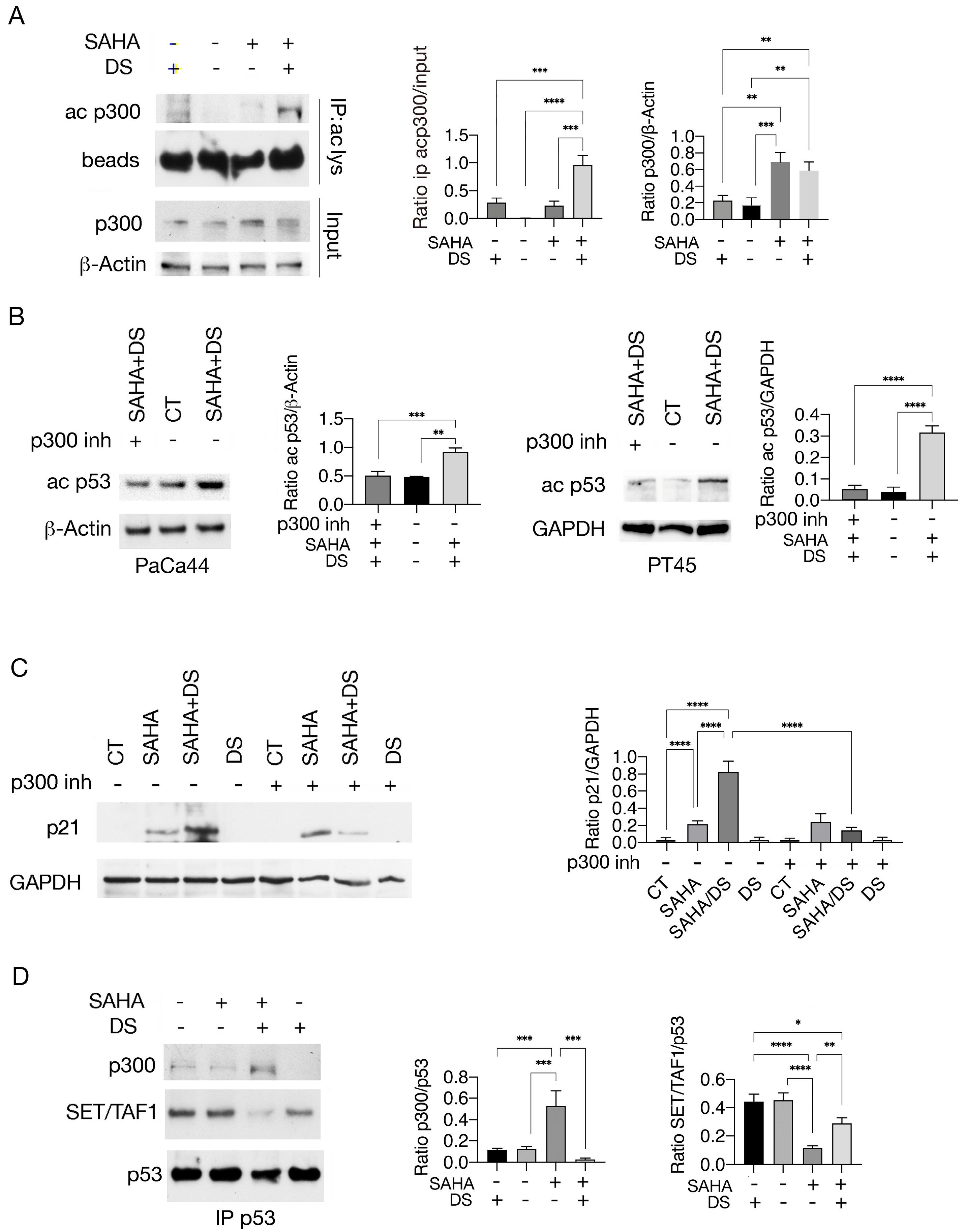 Biomedicines 13 02279 g004 Biomedicines 13 02279 g004