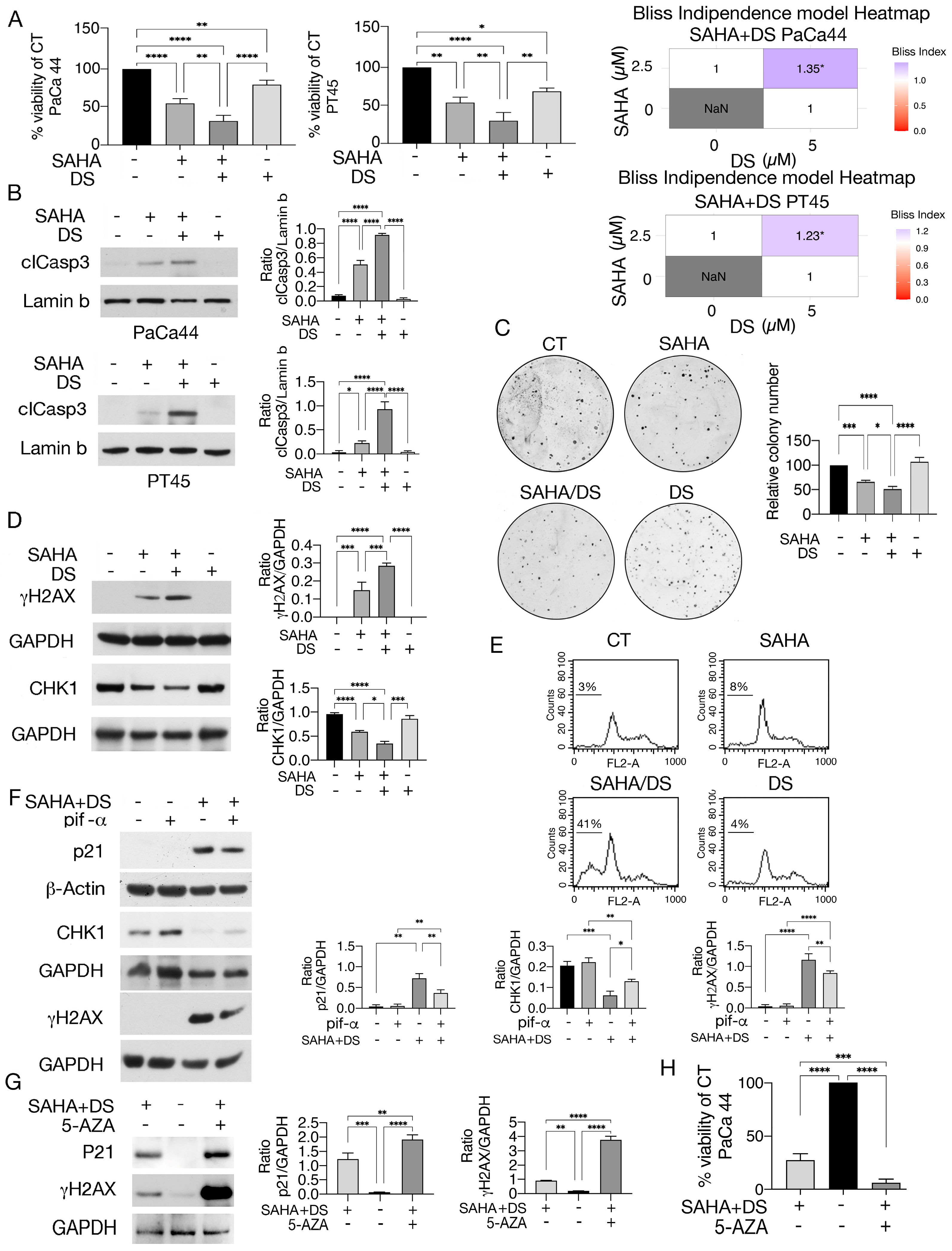 Biomedicines 13 02279 g005 Biomedicines 13 02279 g005