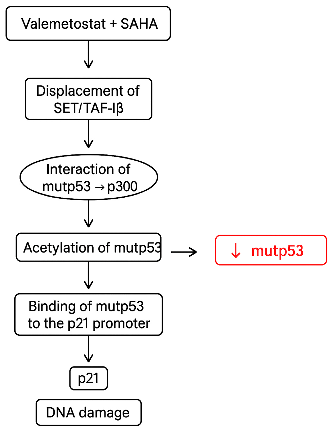 Biomedicines 13 02279 g006 Biomedicines 13 02279 g006