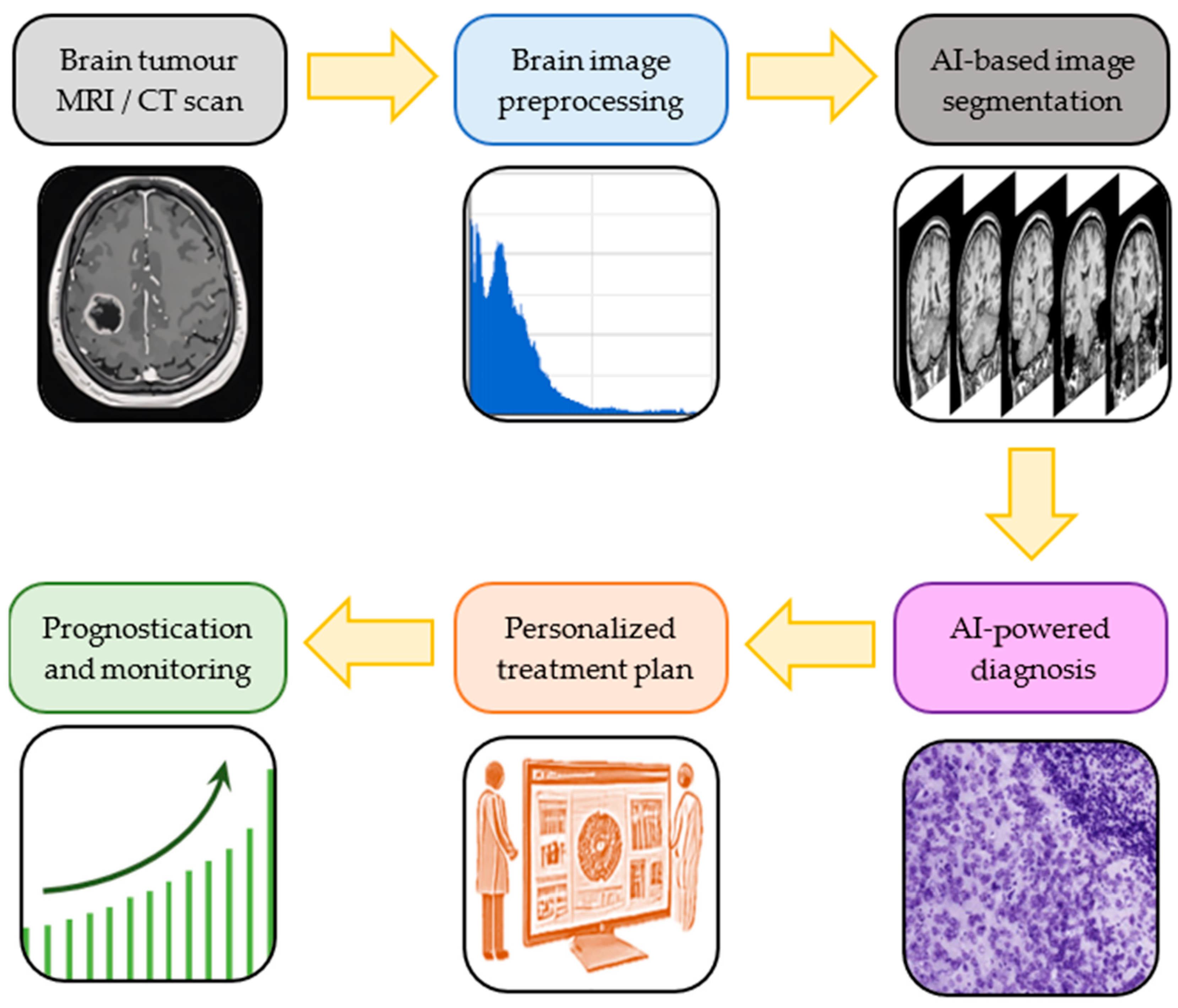 Biomedicines 13 02285 g001