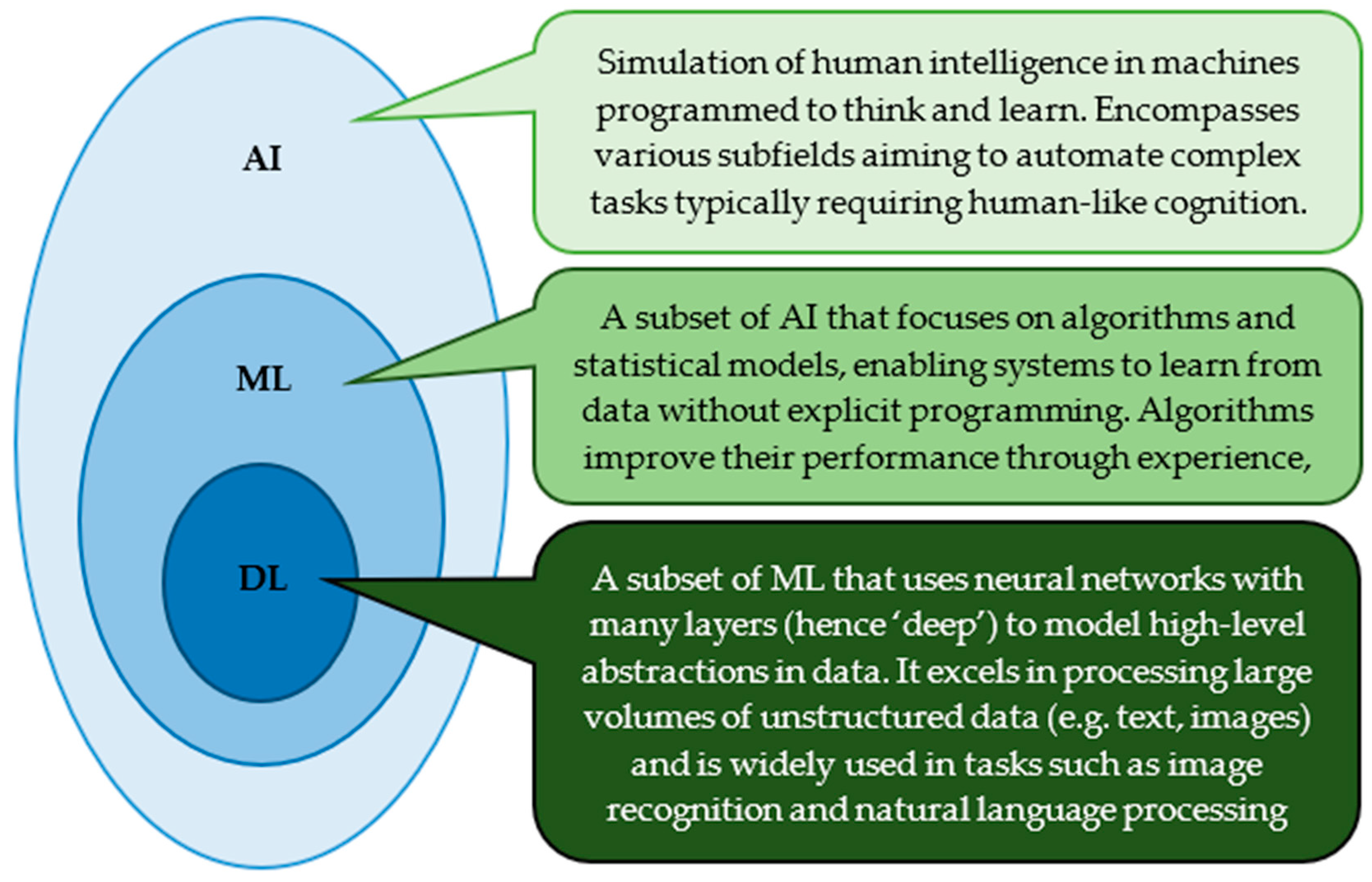 Biomedicines 13 02285 g002