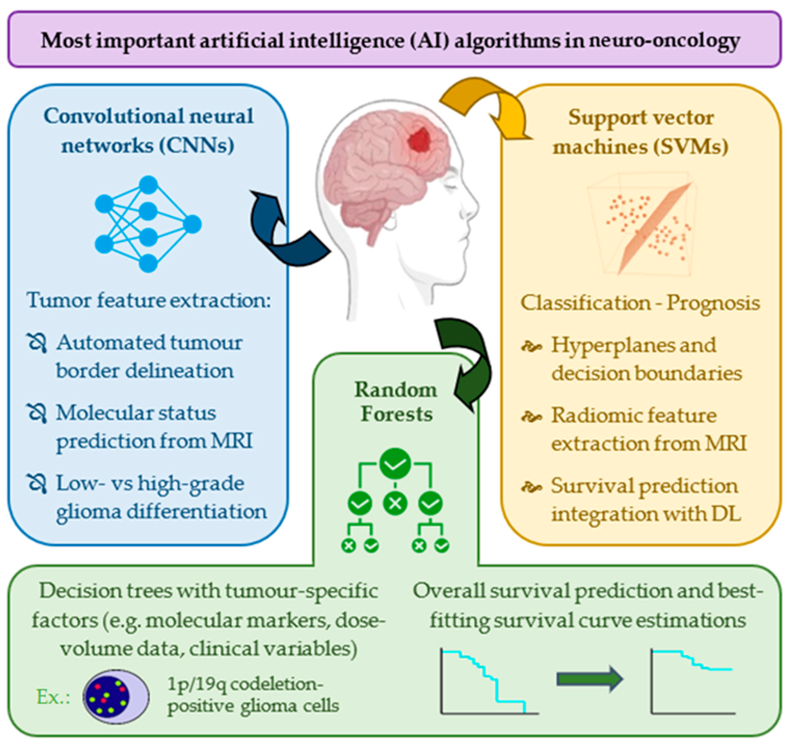 Biomedicines 13 02285 g004