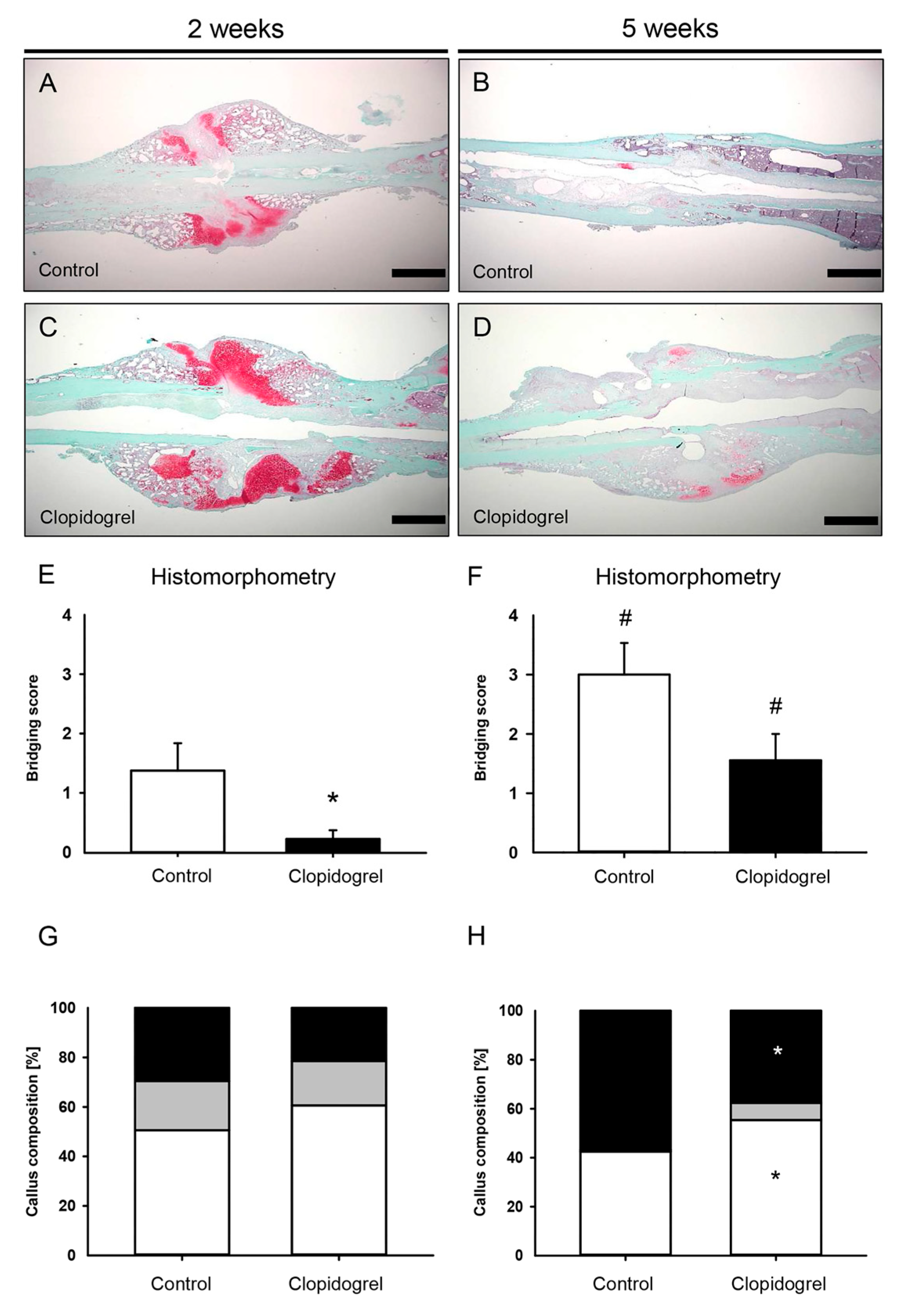 Biomedicines 13 02286 g004