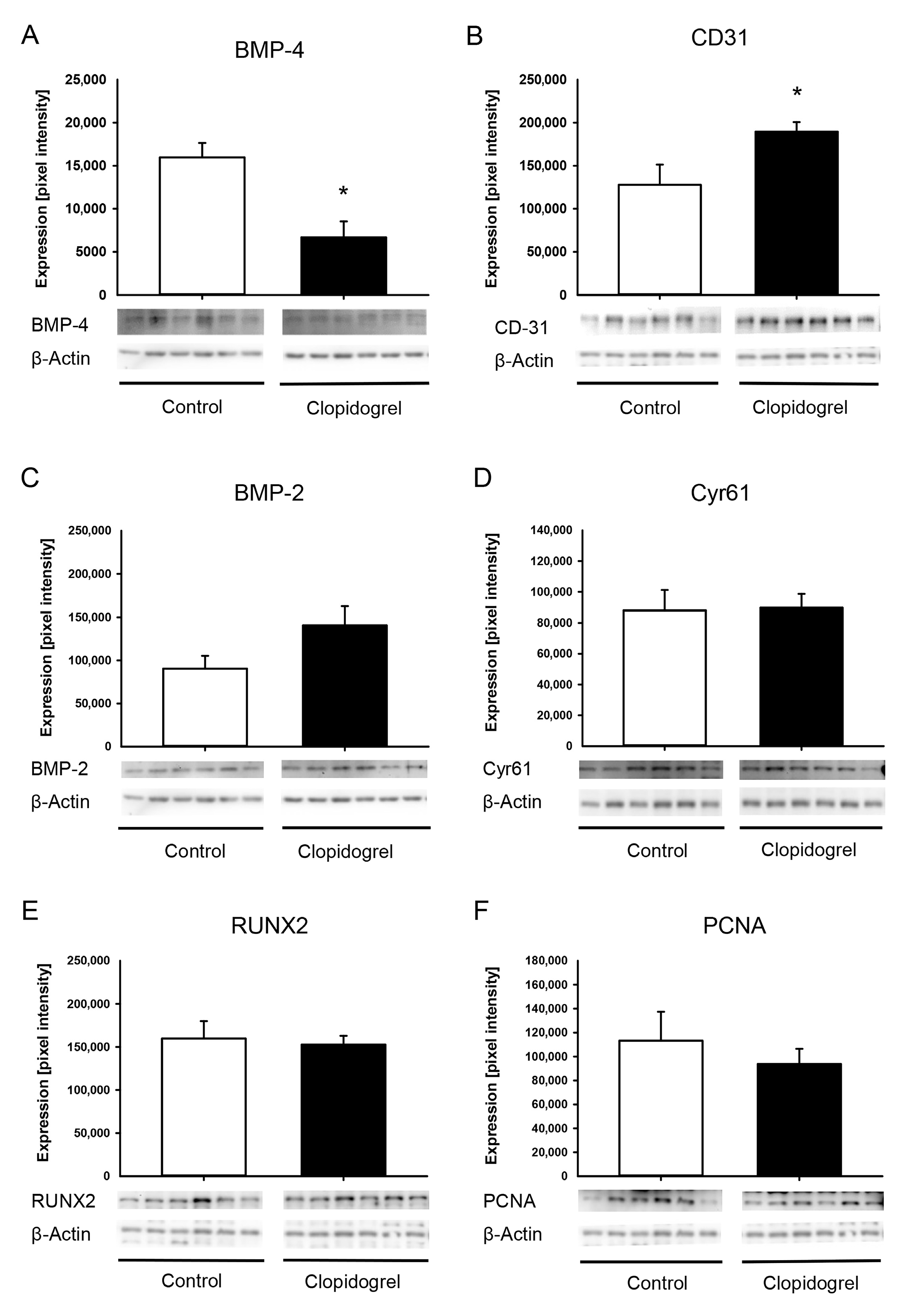 Biomedicines 13 02286 g005