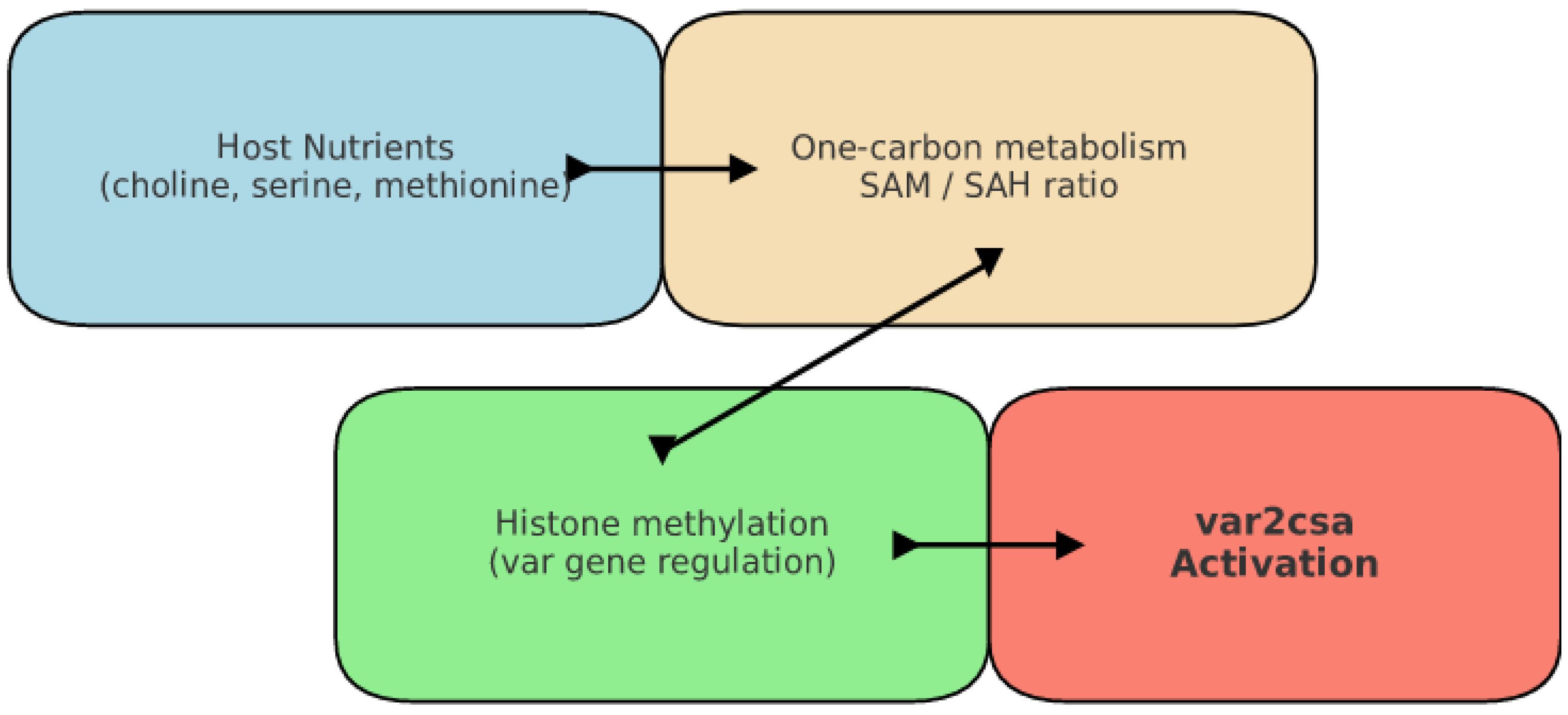 Biomedicines 13 02287 g002