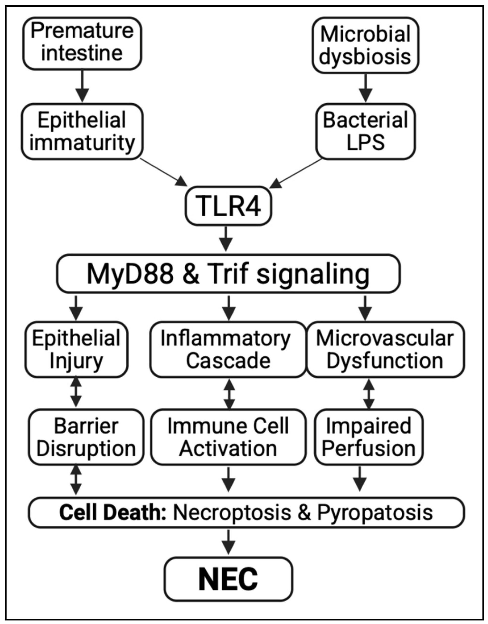 Biomedicines 13 02288 g001 Biomedicines 13 02288 g001