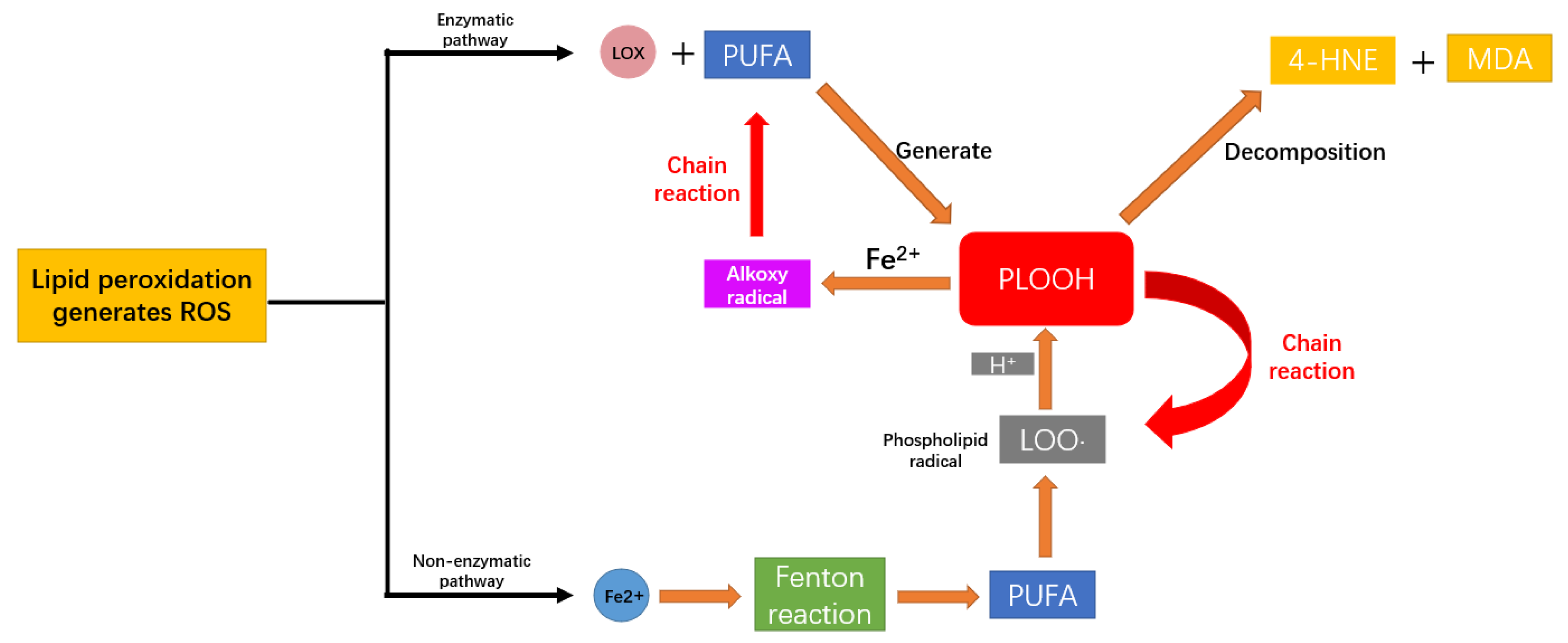 Biomedicines 13 02290 g002