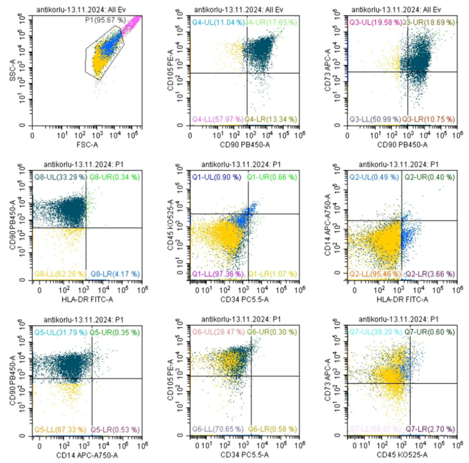 Biomedicines 13 02291 g006