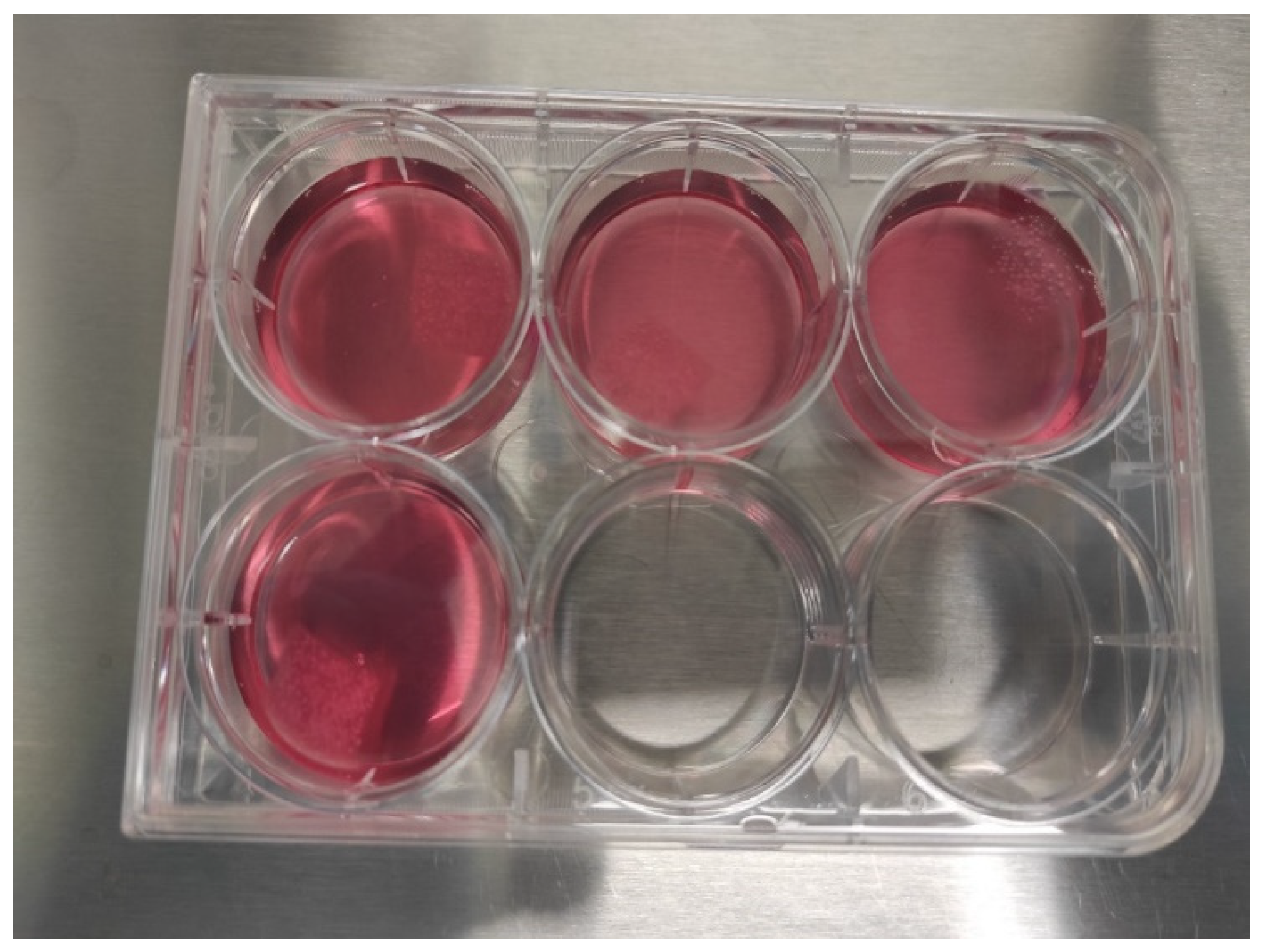 Biomedicines 13 02291 g009