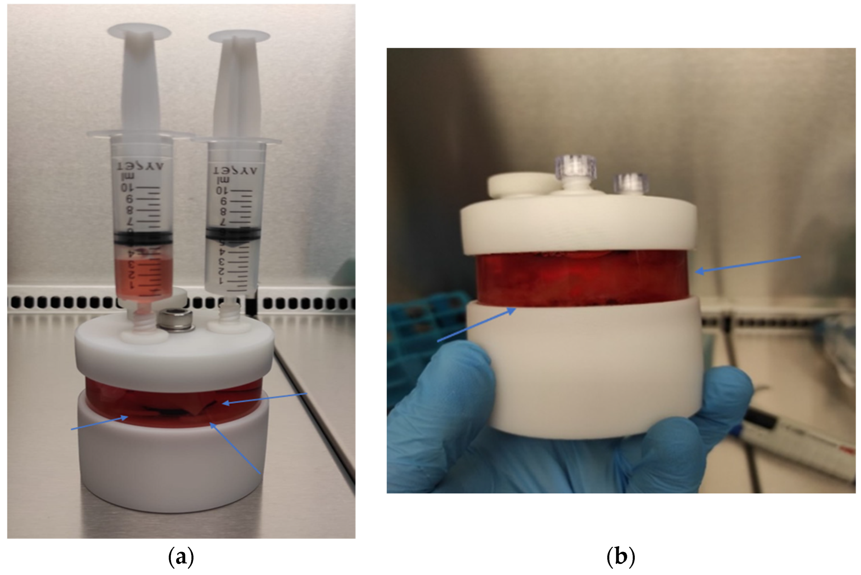 Biomedicines 13 02291 g010