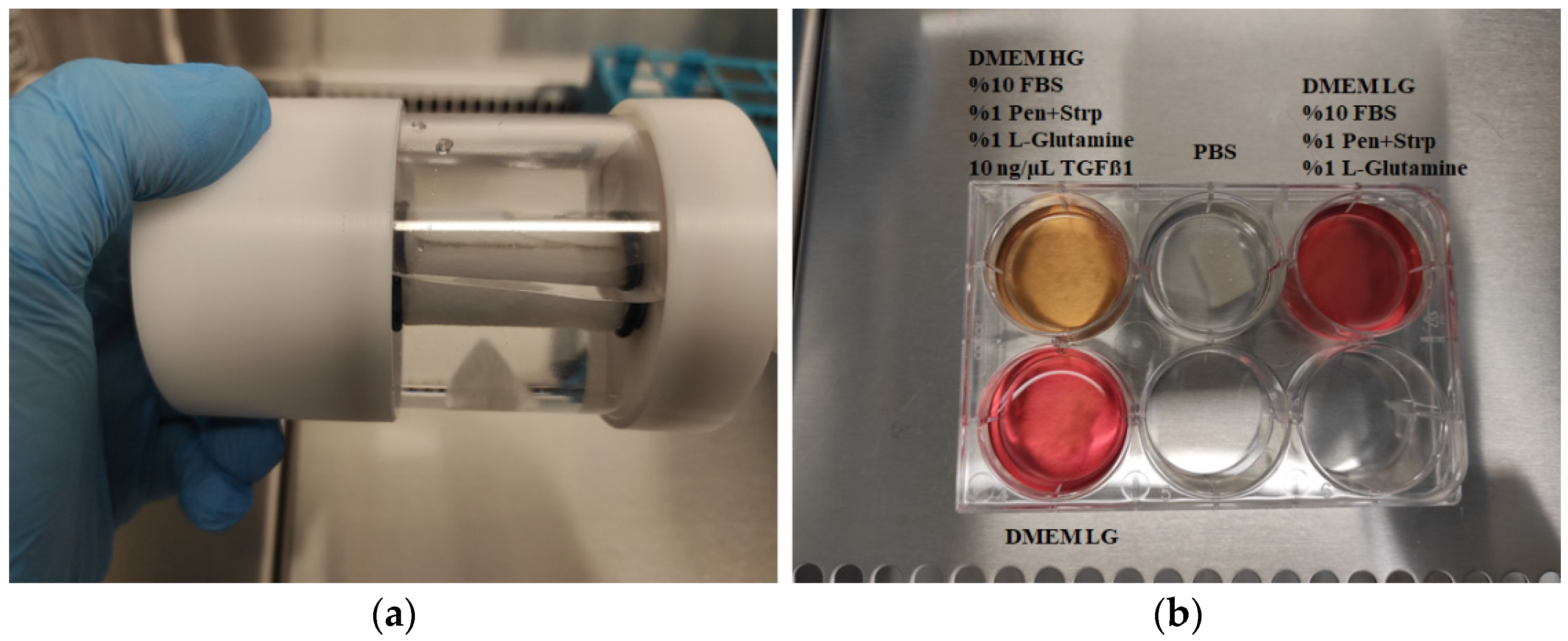 Biomedicines 13 02291 g012