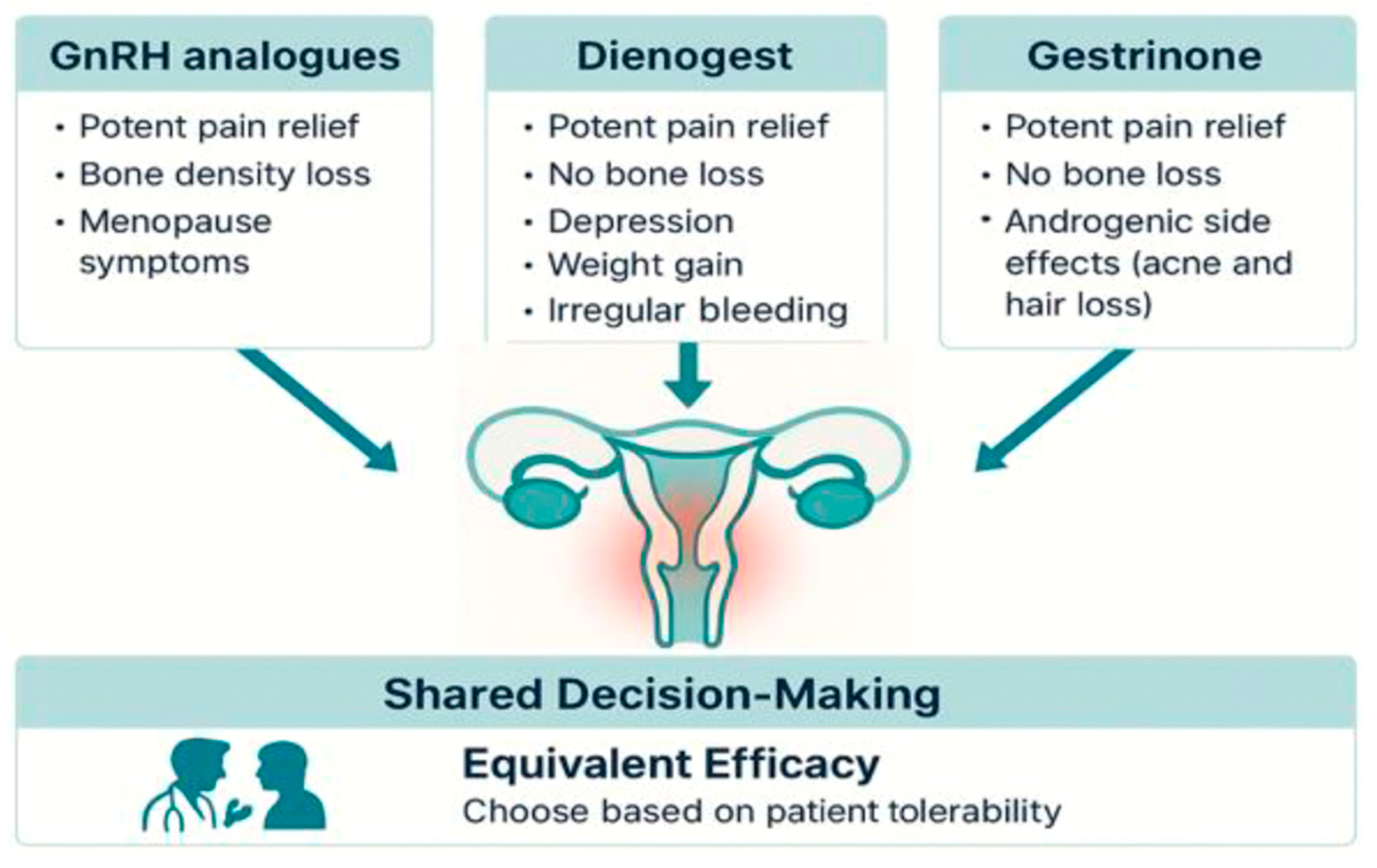 Biomedicines 13 02294 g001
